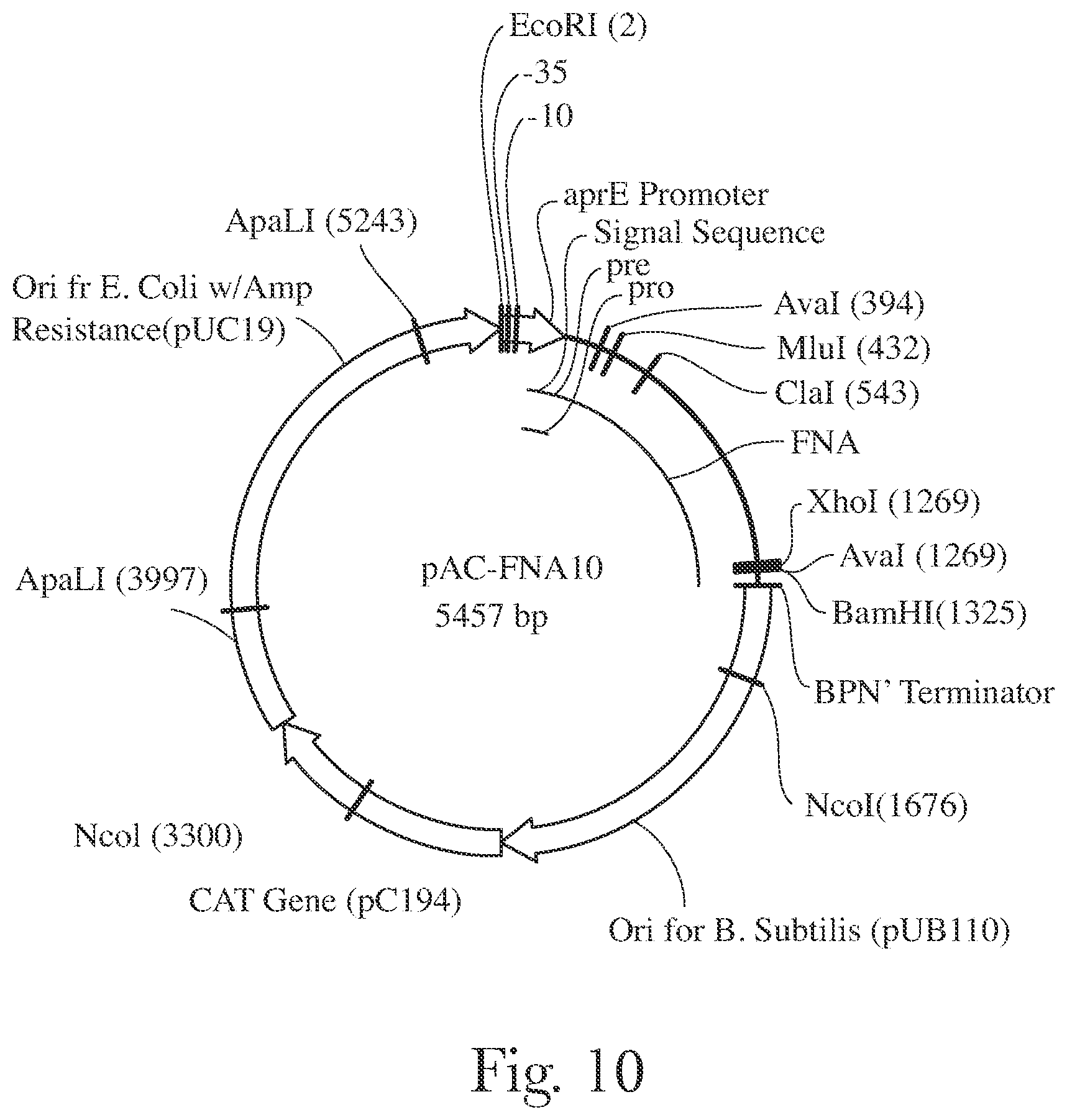 Patent US12338416 Figure 10 – Fabric and home care products with cold water protease