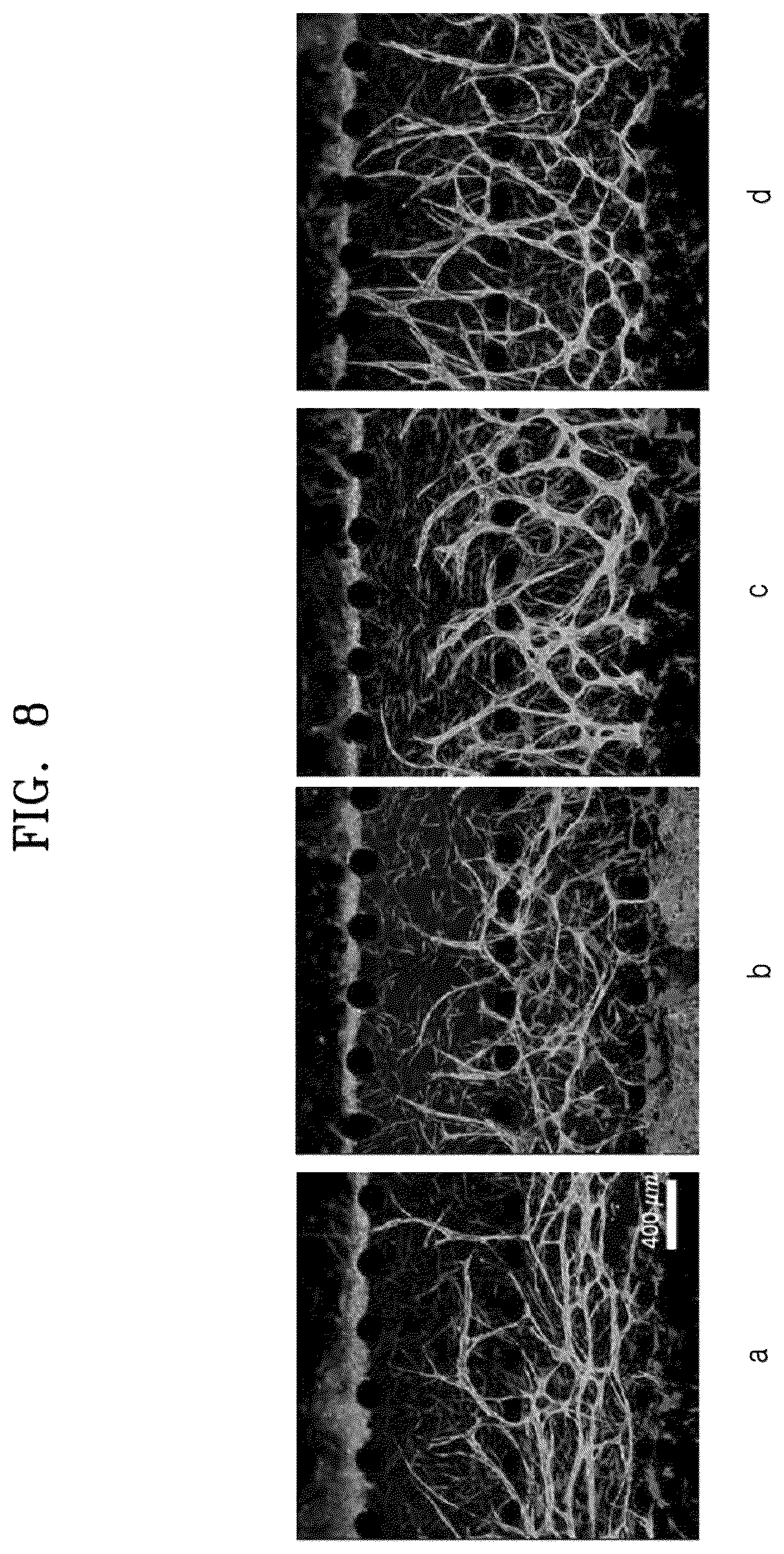 Patent US12338422 Figure 9 – Three-dimensional biomimetic chip for simulating endometrium, and endometrium simulating method using same