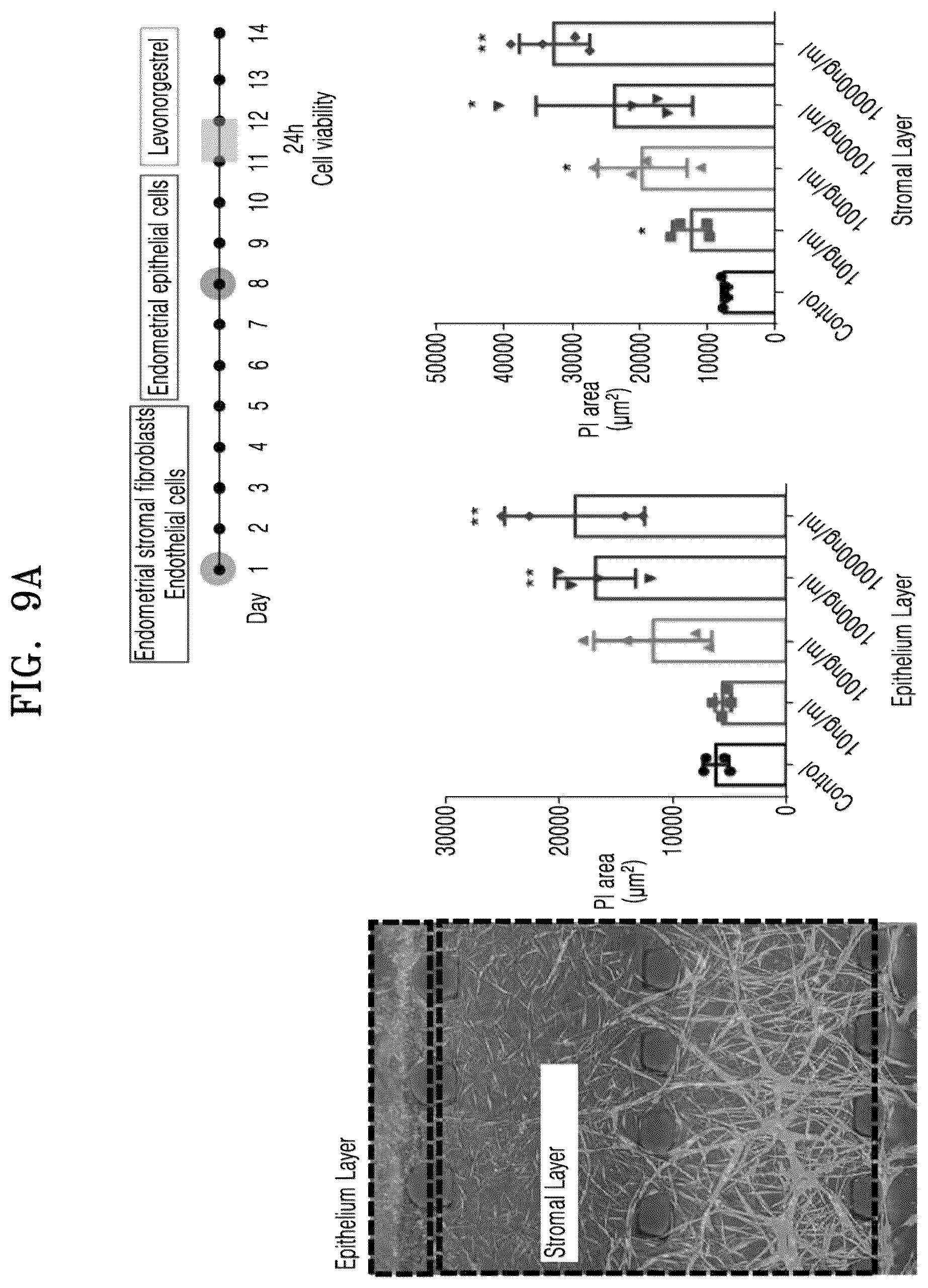 Patent US12338422 Figure 10 – Three-dimensional biomimetic chip for simulating endometrium, and endometrium simulating method using same