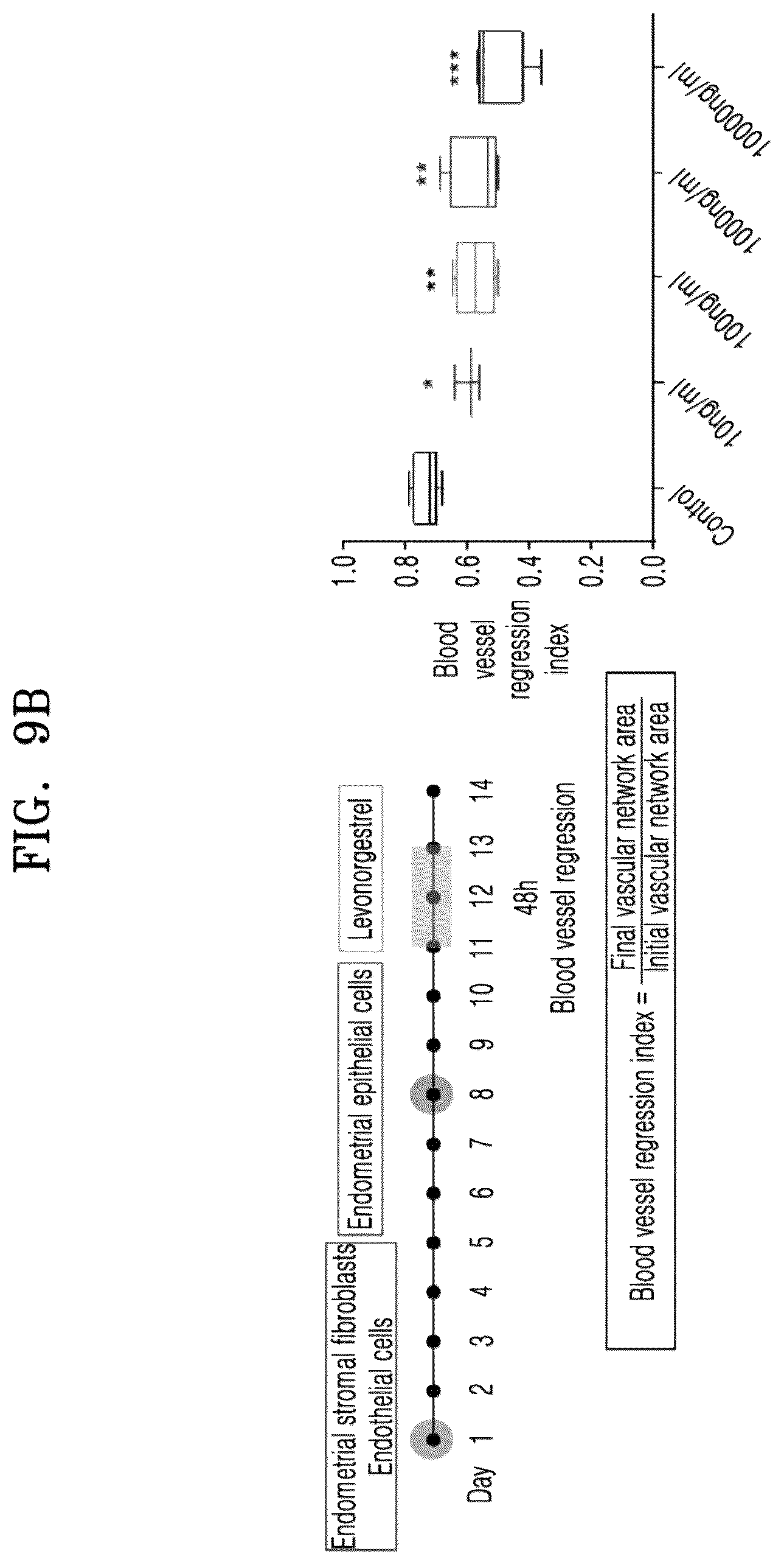 Patent US12338422 Figure 11 – Three-dimensional biomimetic chip for simulating endometrium, and endometrium simulating method using same