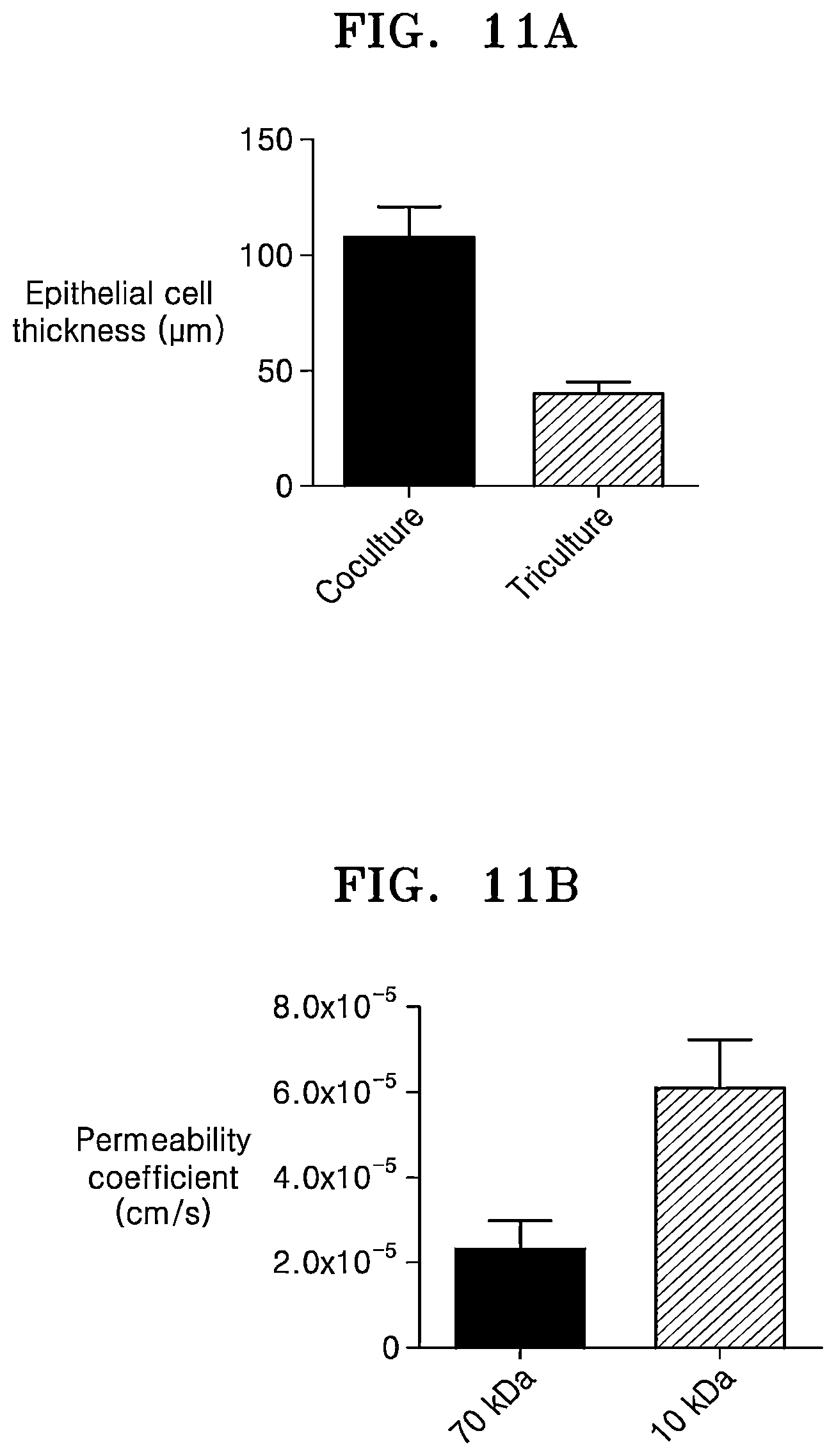 Patent US12338422 Figure 14 – Three-dimensional biomimetic chip for simulating endometrium, and endometrium simulating method using same
