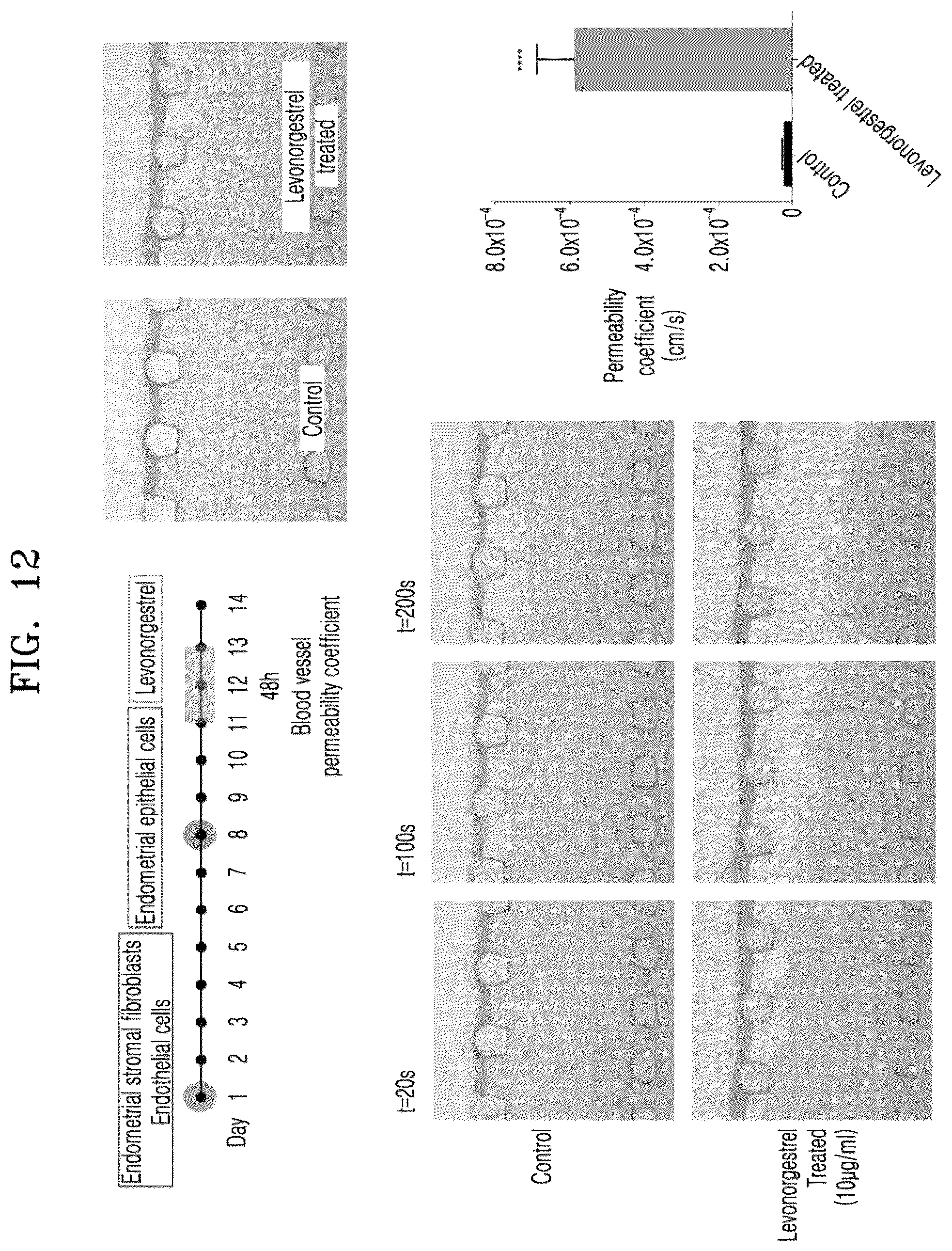 Patent US12338422 Figure 15 – Three-dimensional biomimetic chip for simulating endometrium, and endometrium simulating method using same