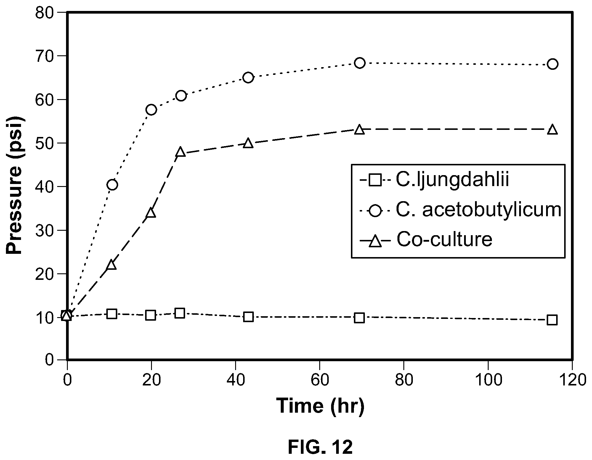Patent US12338431 Figure 12 – Syntrophic co-cultures and uses thereof
