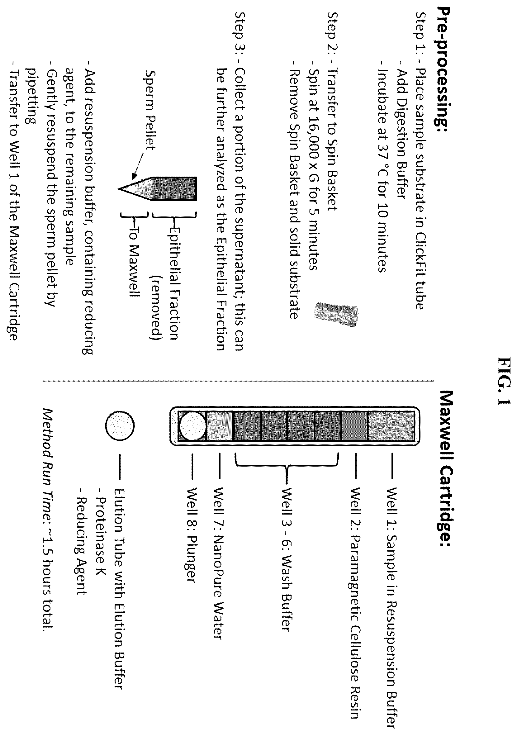 Patent US12338432 Figure 1 – Sperm cell isolation and sperm-associated DNA purification