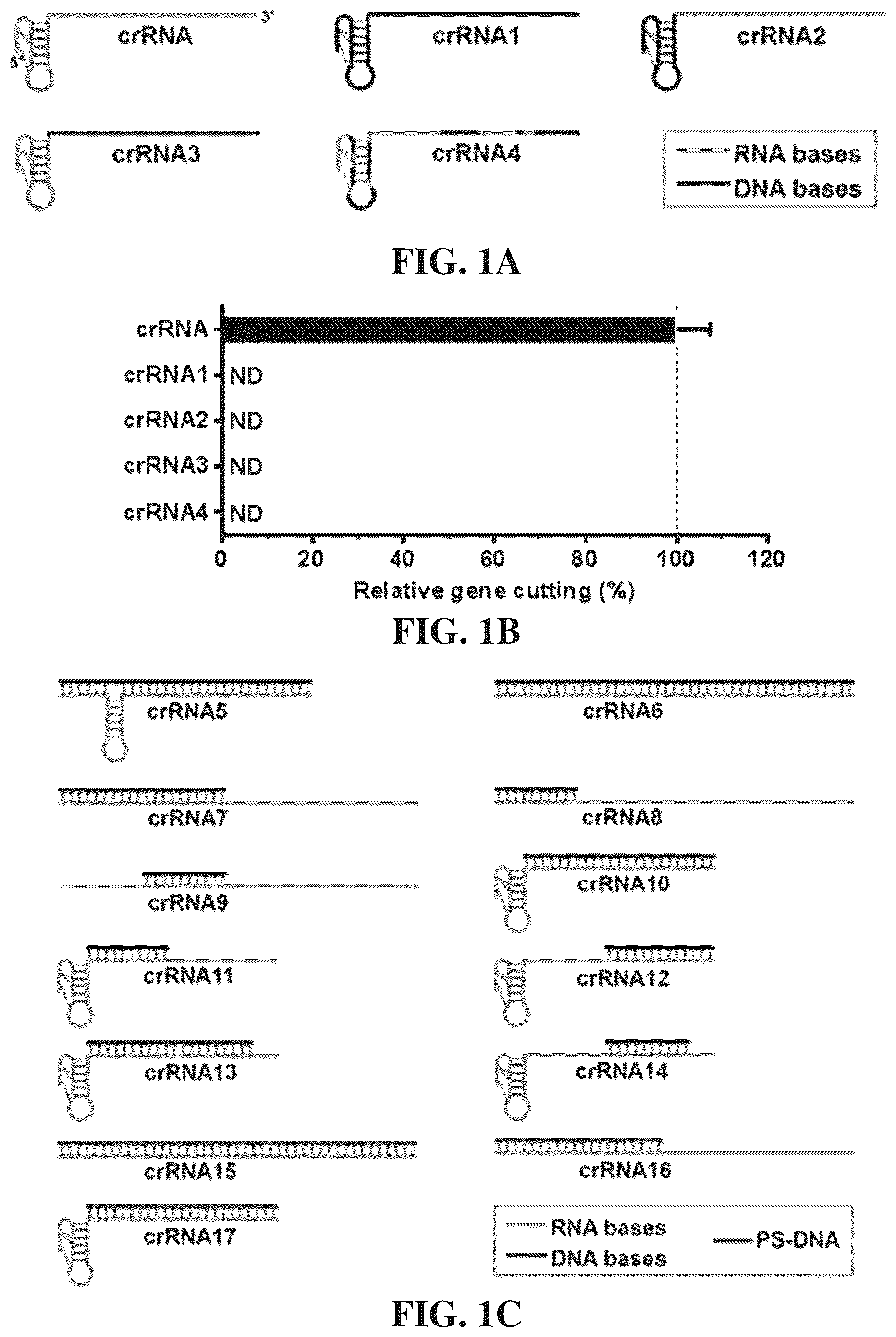 Patent US12338433 Figure 1 – Modified nucleic acids, hybrid guide RNAS, and uses thereof