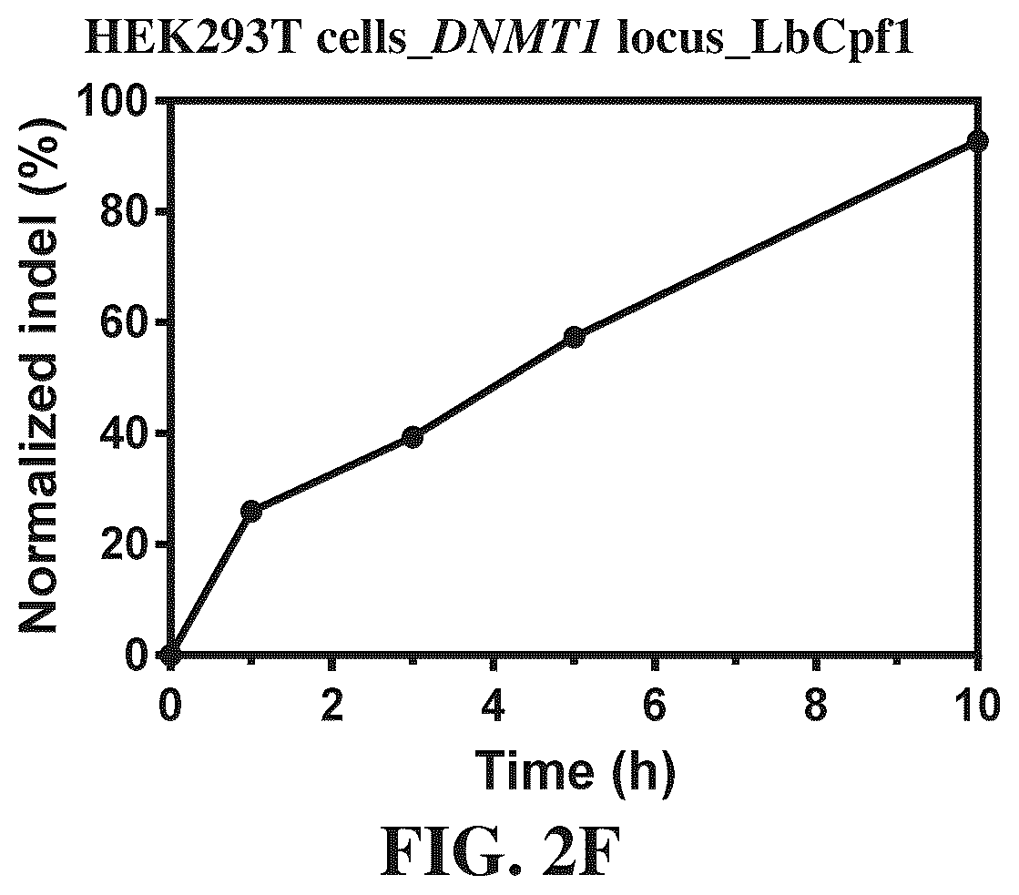 Patent US12338433 Figure 6 – Modified nucleic acids, hybrid guide RNAS, and uses thereof