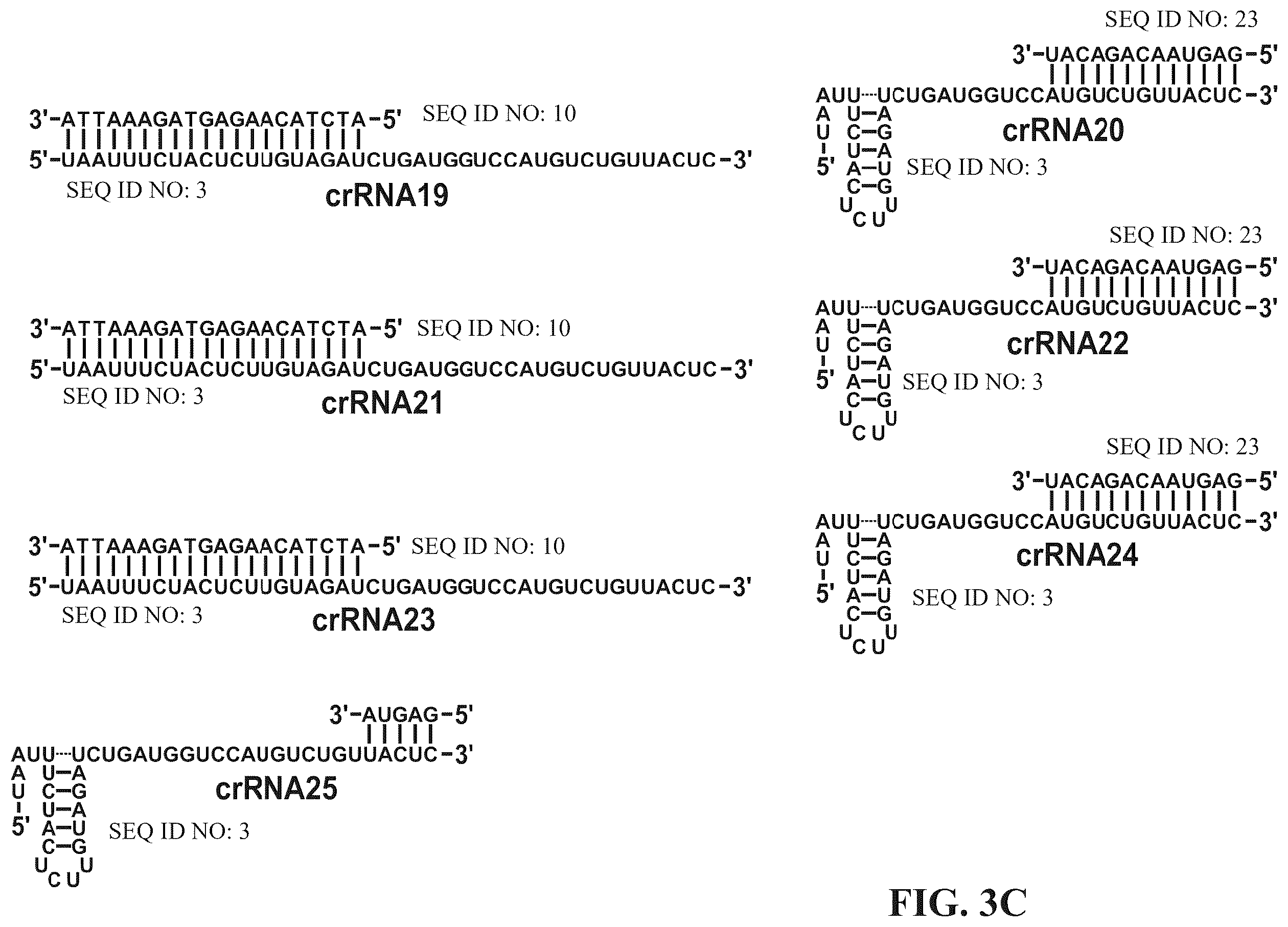 Patent US12338433 Figure 9 – Modified nucleic acids, hybrid guide RNAS, and uses thereof