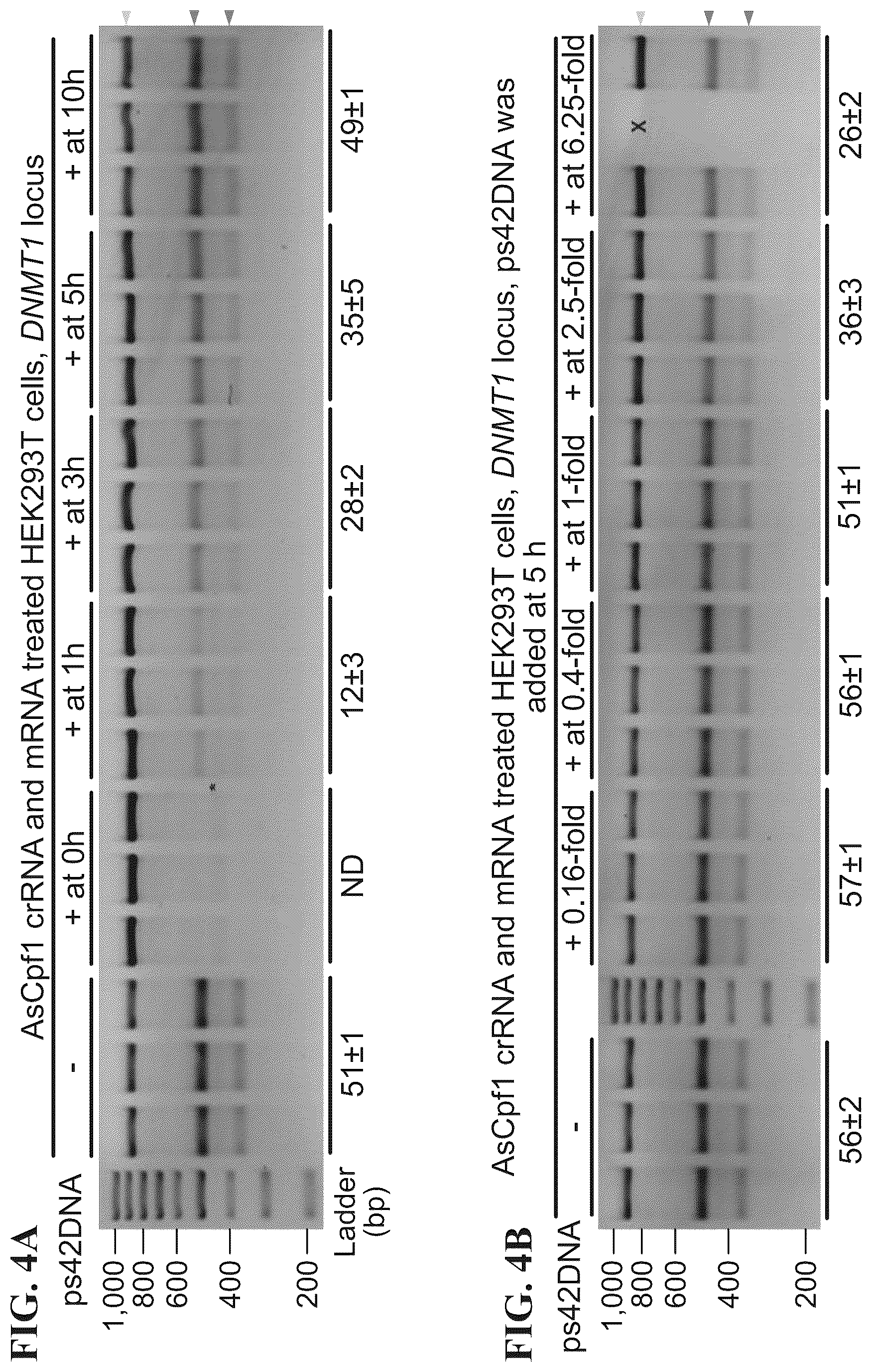 Patent US12338433 Figure 10 – Modified nucleic acids, hybrid guide RNAS, and uses thereof