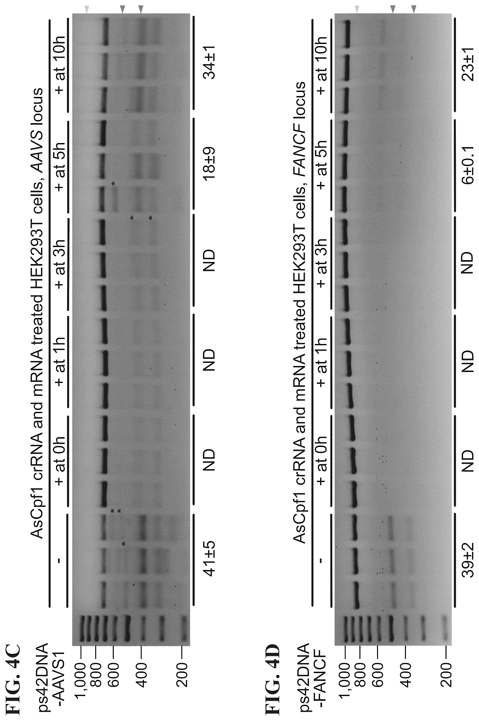 Patent US12338433 Figure 11 – Modified nucleic acids, hybrid guide RNAS, and uses thereof