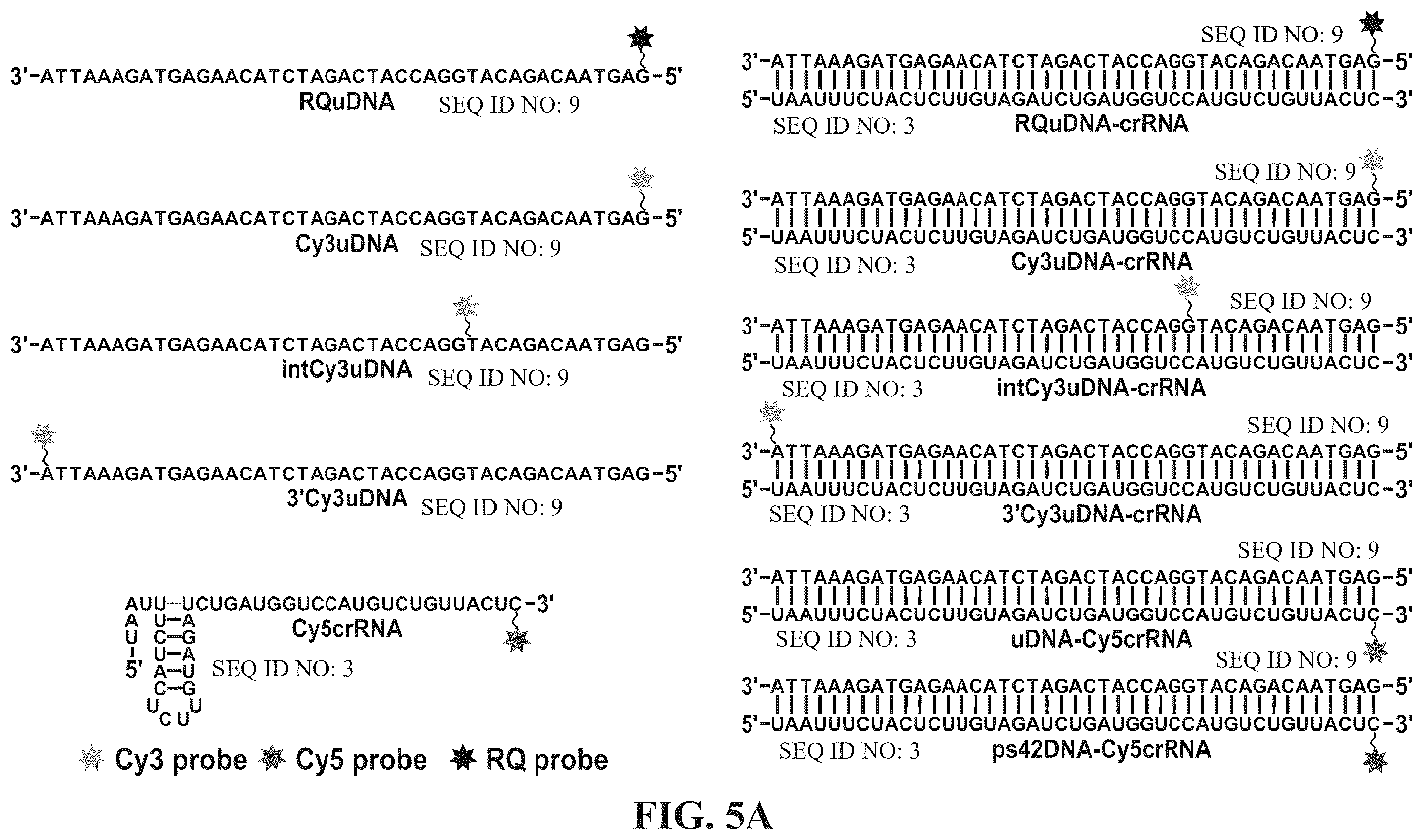 Patent US12338433 Figure 13 – Modified nucleic acids, hybrid guide RNAS, and uses thereof