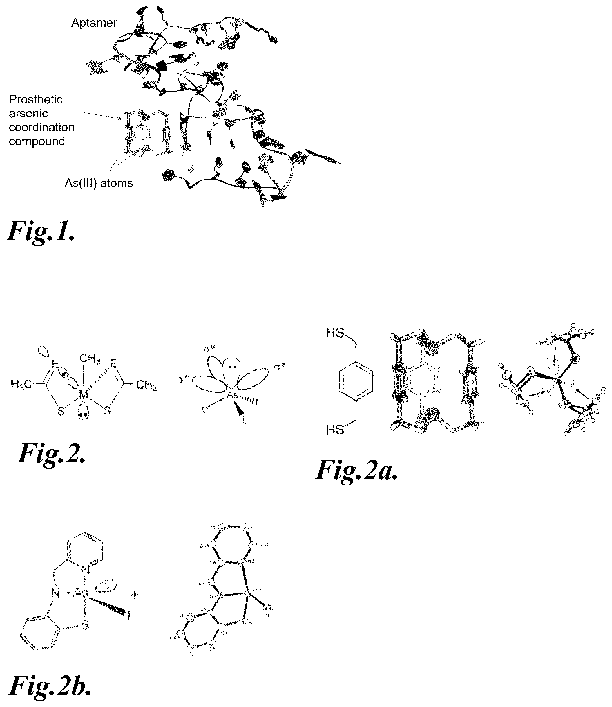 Patent US12338434 Figure 1 – Methods and materials for discovery of functional ligands to molecular complexes
