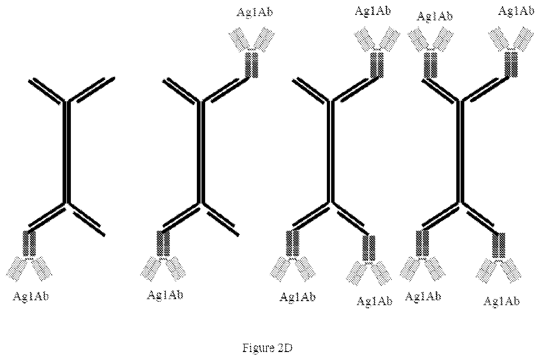Patent US12338435 Figure 5 – Nucleic acid carriers and therapeutic methods of use