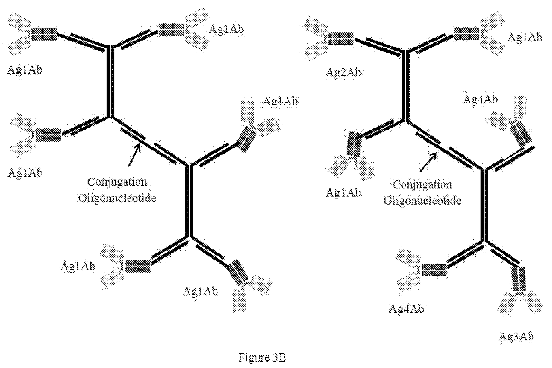 Patent US12338435 Figure 8 – Nucleic acid carriers and therapeutic methods of use