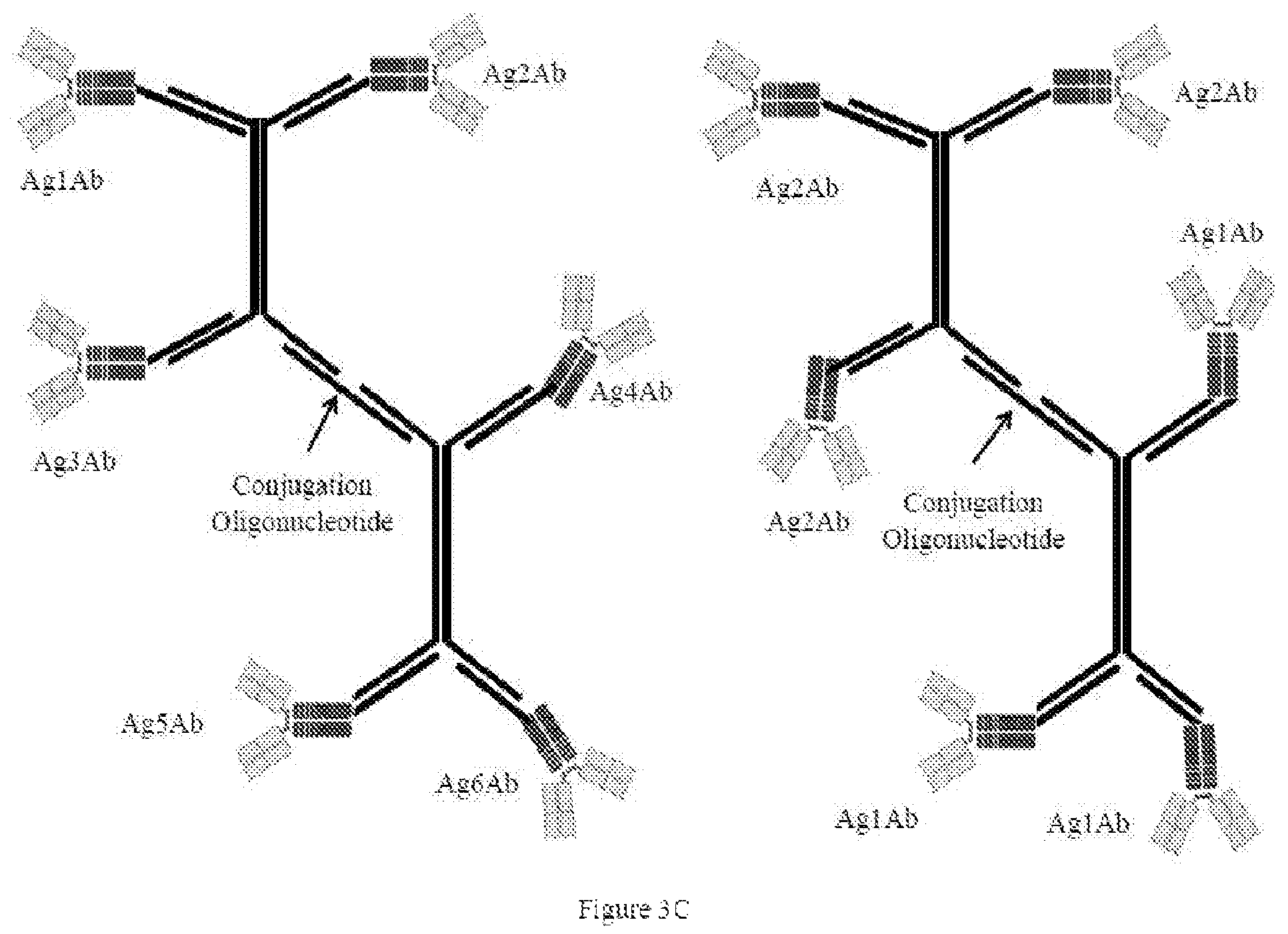 Patent US12338435 Figure 9 – Nucleic acid carriers and therapeutic methods of use