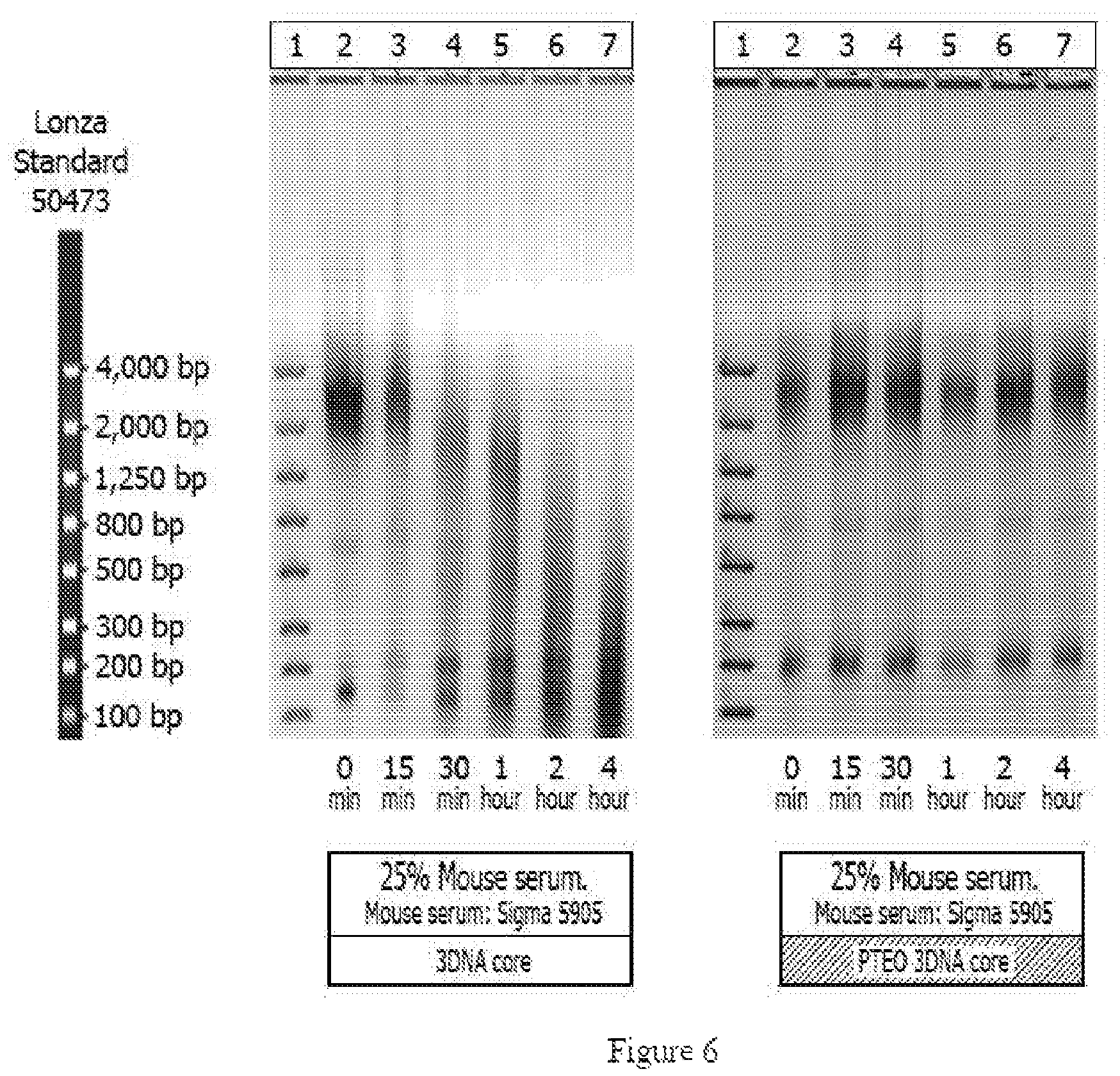 Patent US12338435 Figure 12 – Nucleic acid carriers and therapeutic methods of use