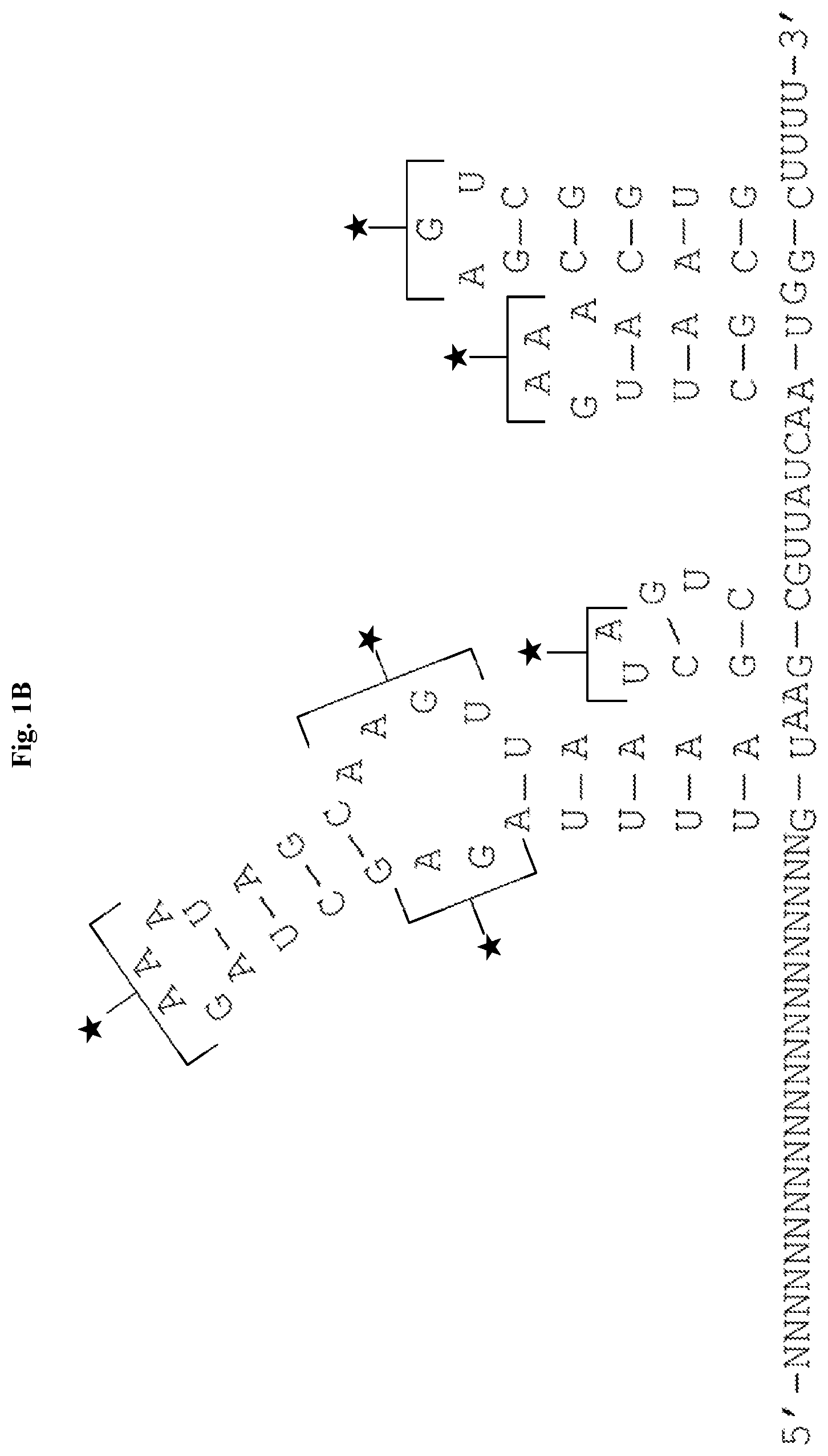 Patent US12338436 Figure 2 – Synthetic guide molecules, compositions and methods relating thereto