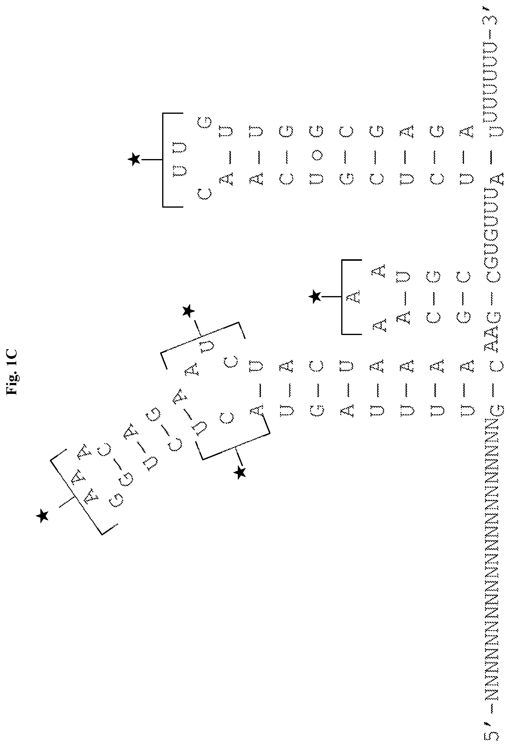 Patent US12338436 Figure 3 – Synthetic guide molecules, compositions and methods relating thereto