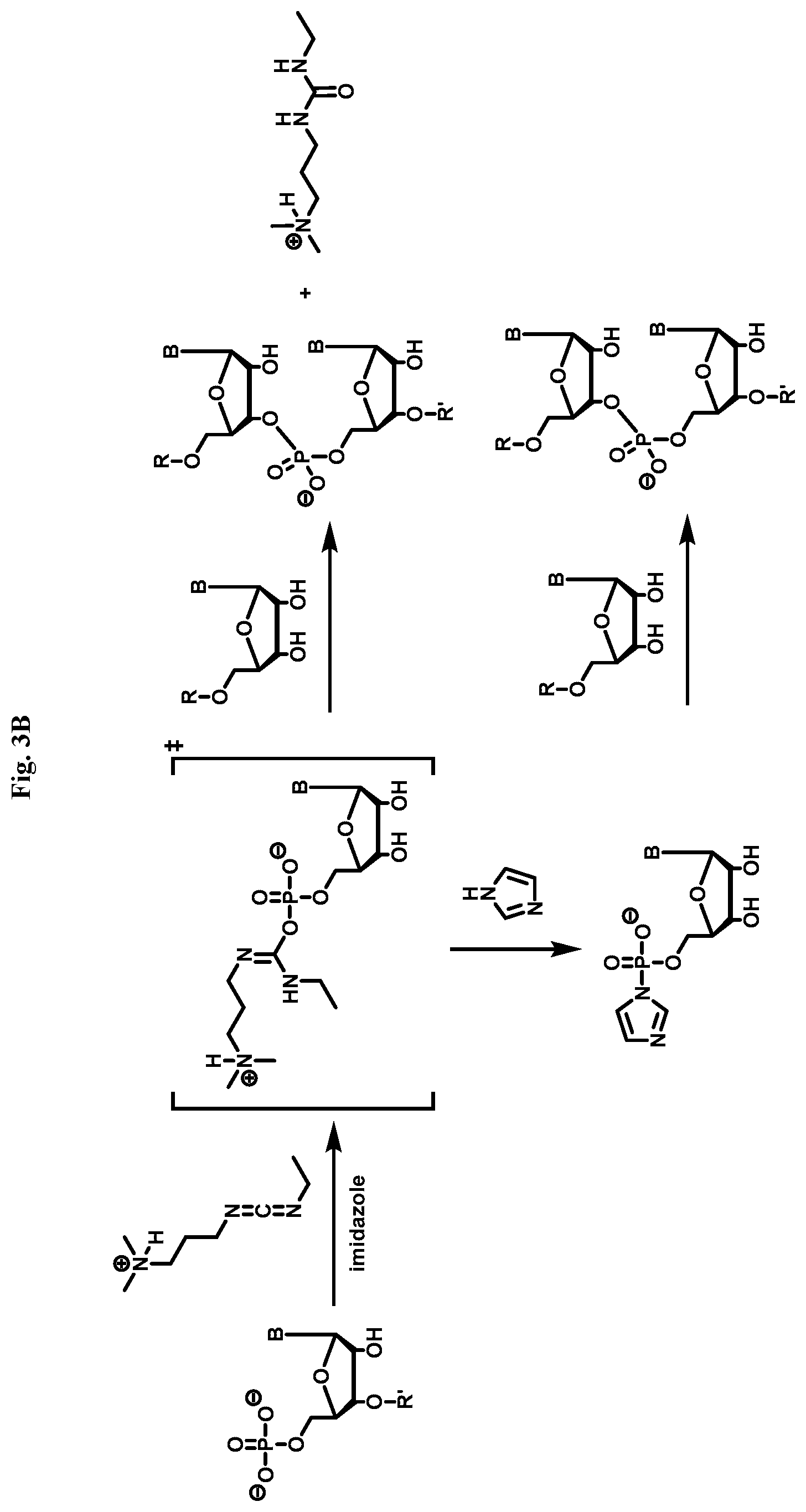 Patent US12338436 Figure 8 – Synthetic guide molecules, compositions and methods relating thereto