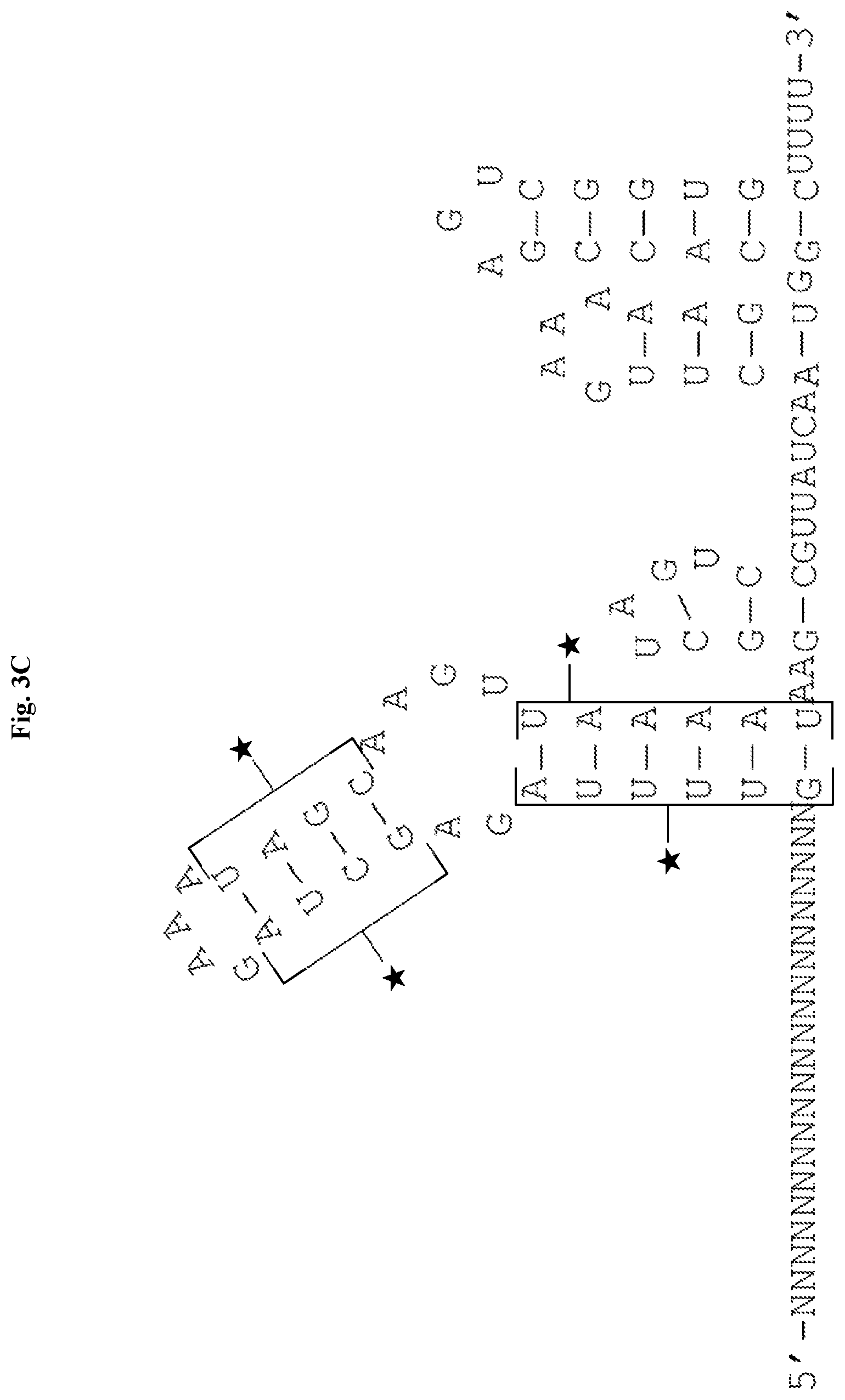 Patent US12338436 Figure 9 – Synthetic guide molecules, compositions and methods relating thereto