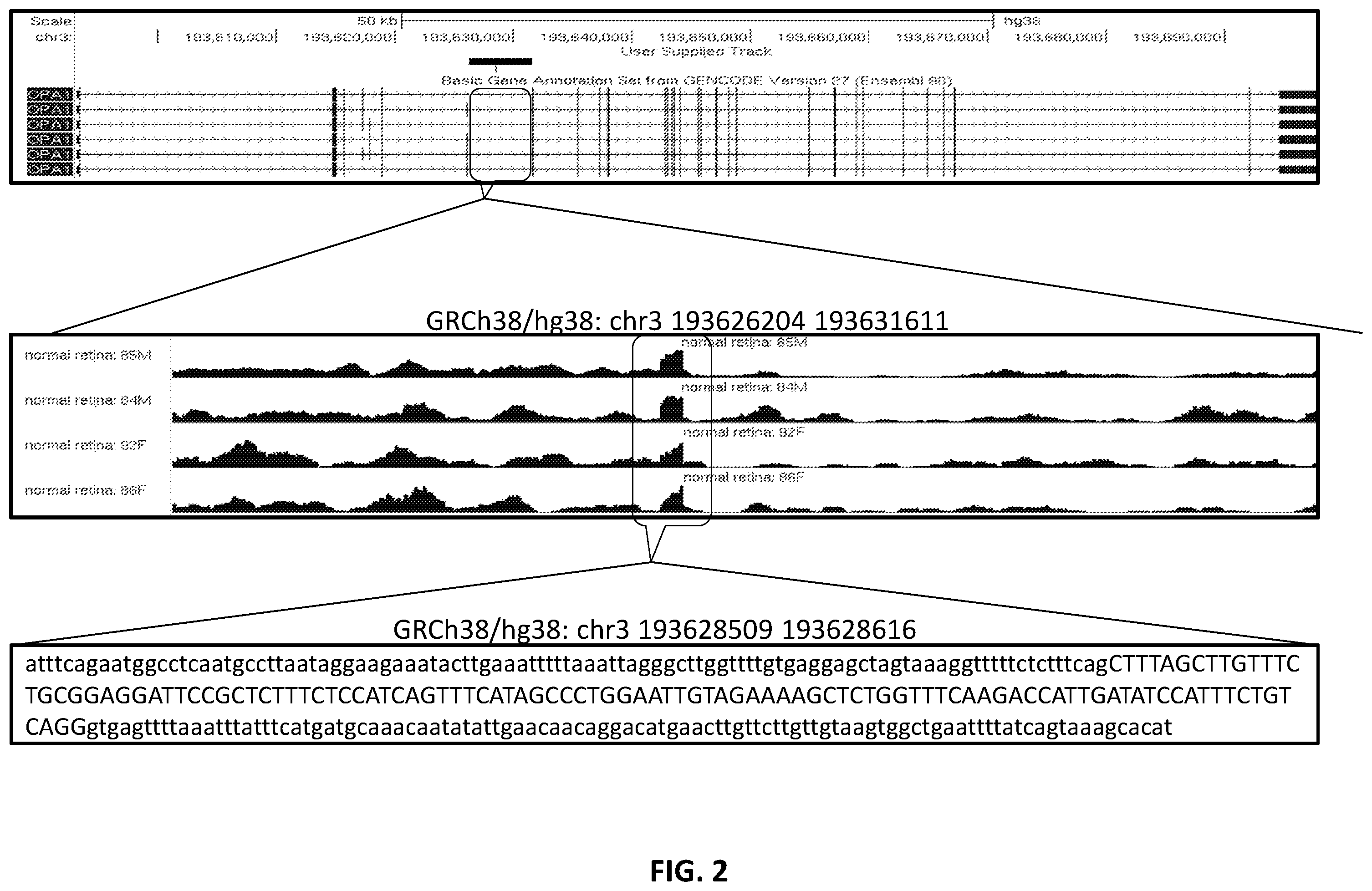 Patent US12338437 Figure 3 – OPA1 antisense oligomers for treatment of conditions and diseases