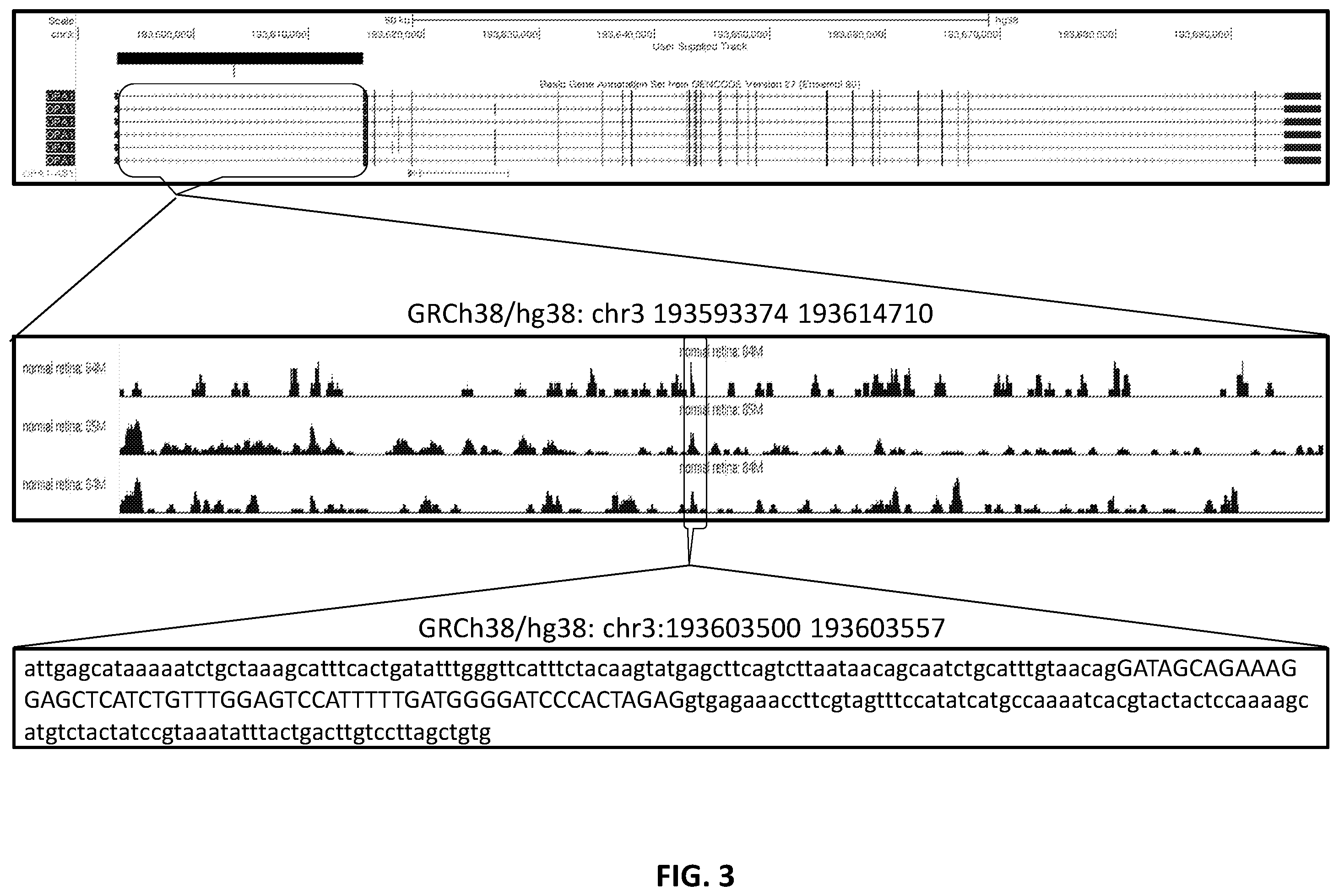 Patent US12338437 Figure 4 – OPA1 antisense oligomers for treatment of conditions and diseases