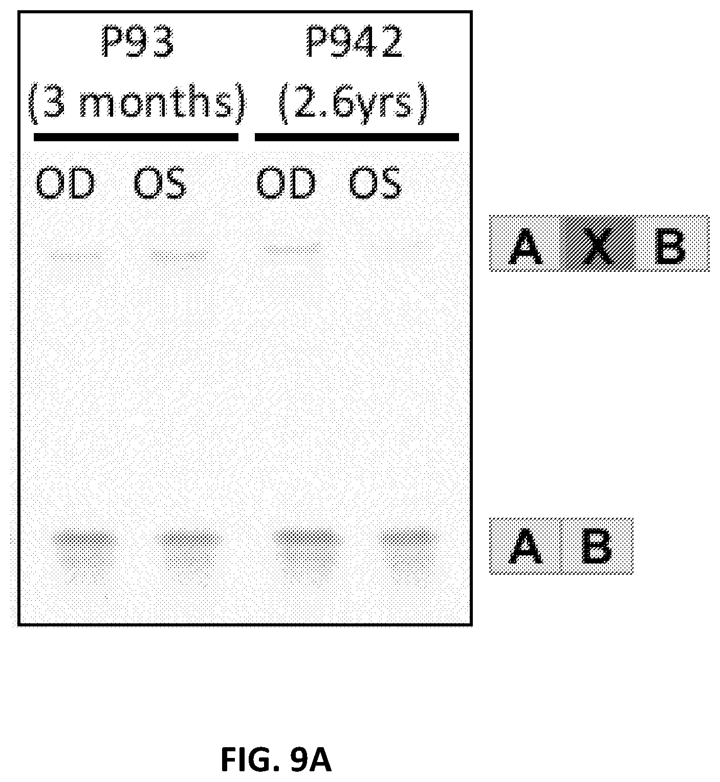 Patent US12338437 Figure 10 – OPA1 antisense oligomers for treatment of conditions and diseases