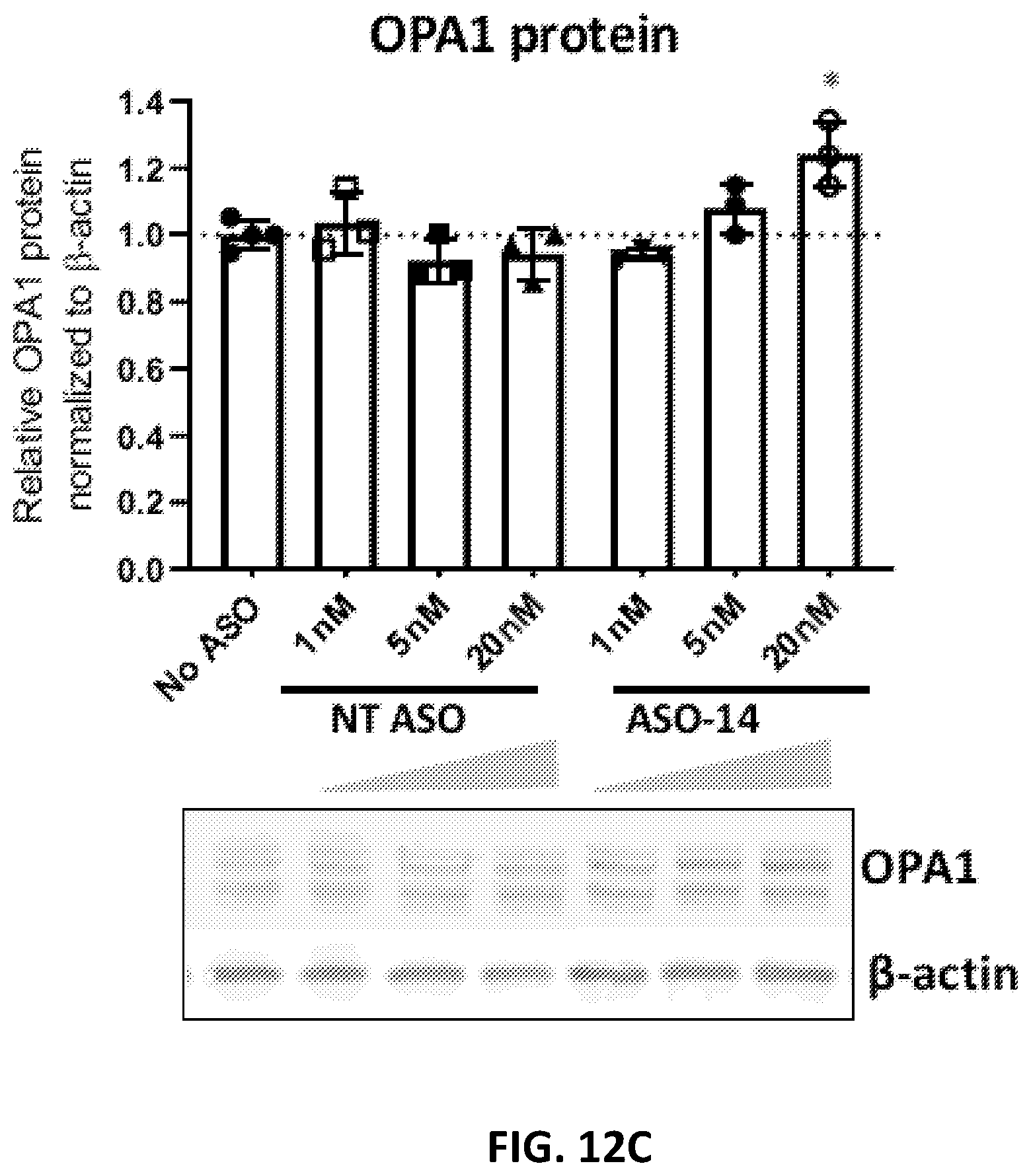 Patent US12338437 Figure 17 – OPA1 antisense oligomers for treatment of conditions and diseases