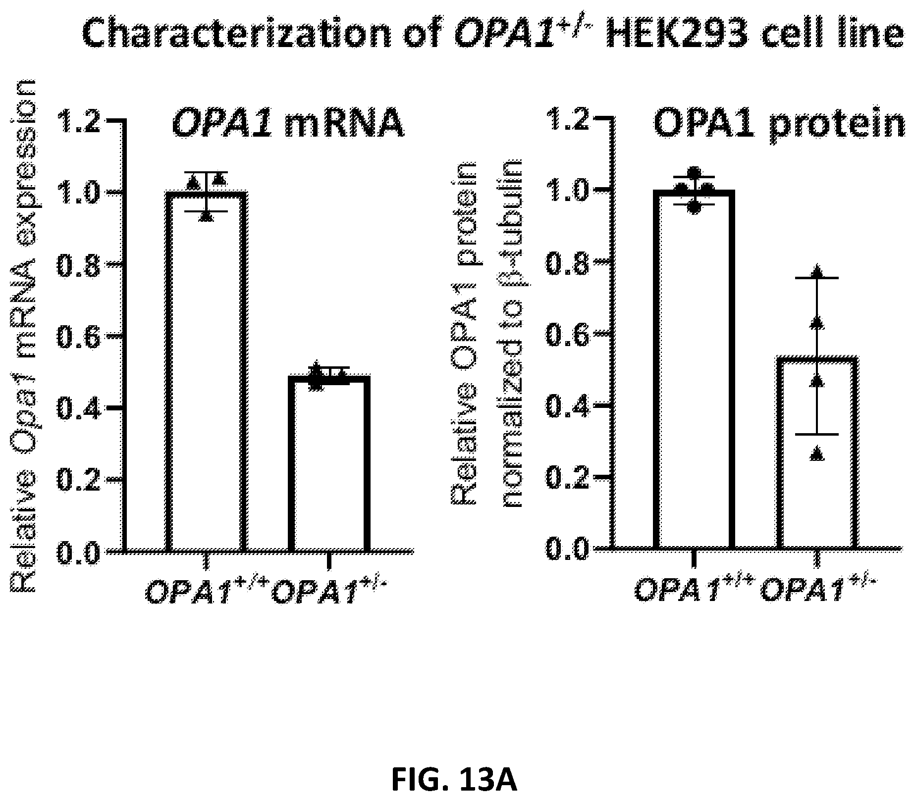 Patent US12338437 Figure 18 – OPA1 antisense oligomers for treatment of conditions and diseases