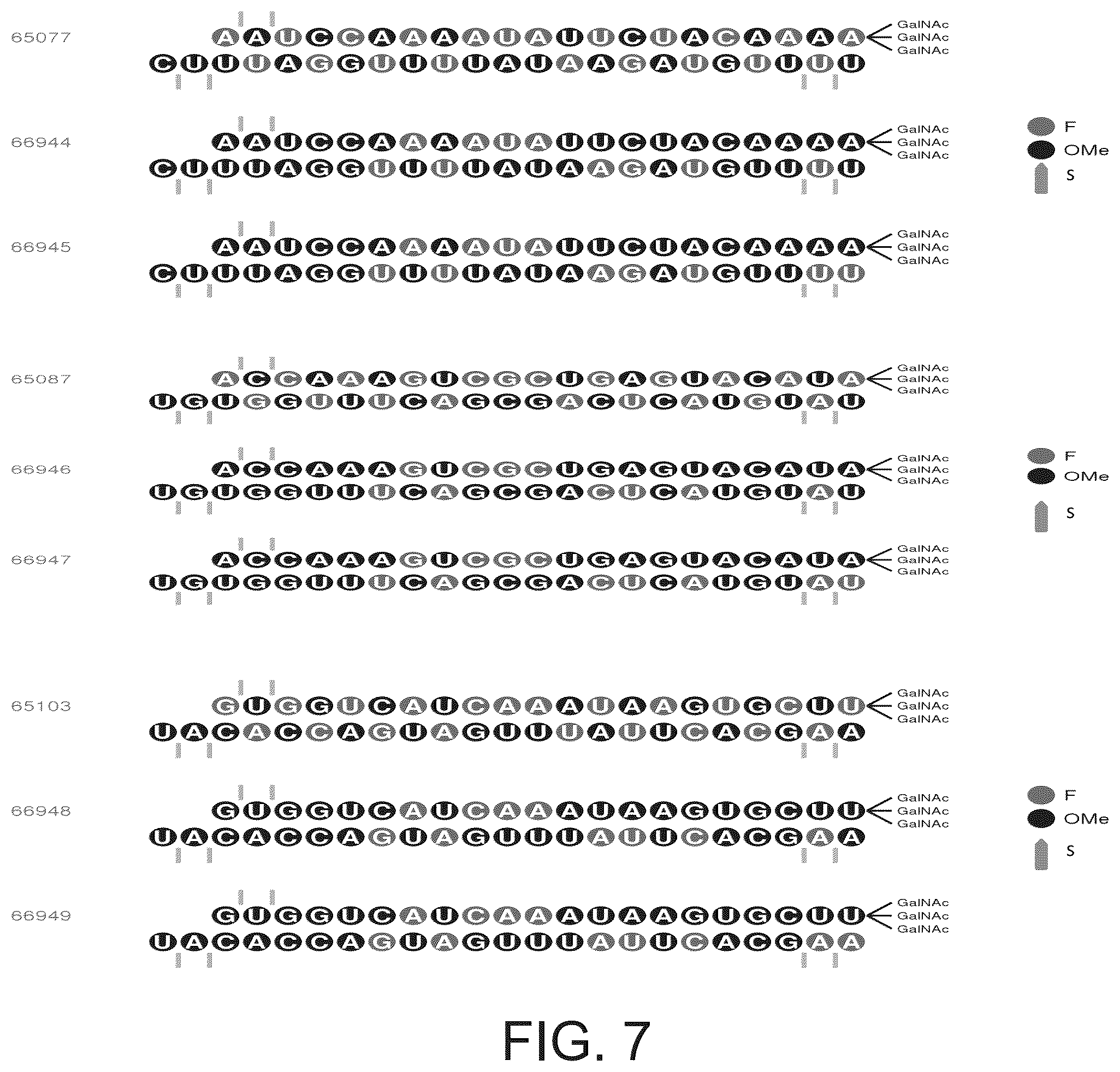 Patent US12338439 Figure 7 – Factor XII (hageman factor) (F12), kallikrein B, plasma (fletcher factor) 1 (KLKB1), and kininogen 1 (KNG1) iRNA compositions and methods of use thereof