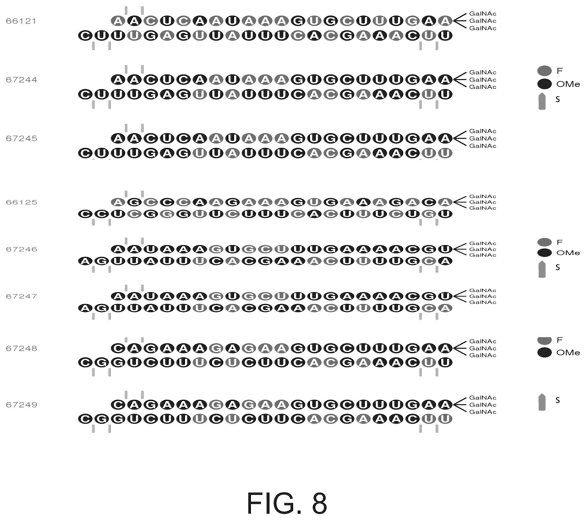 Patent US12338439 Figure 8 – Factor XII (hageman factor) (F12), kallikrein B, plasma (fletcher factor) 1 (KLKB1), and kininogen 1 (KNG1) iRNA compositions and methods of use thereof