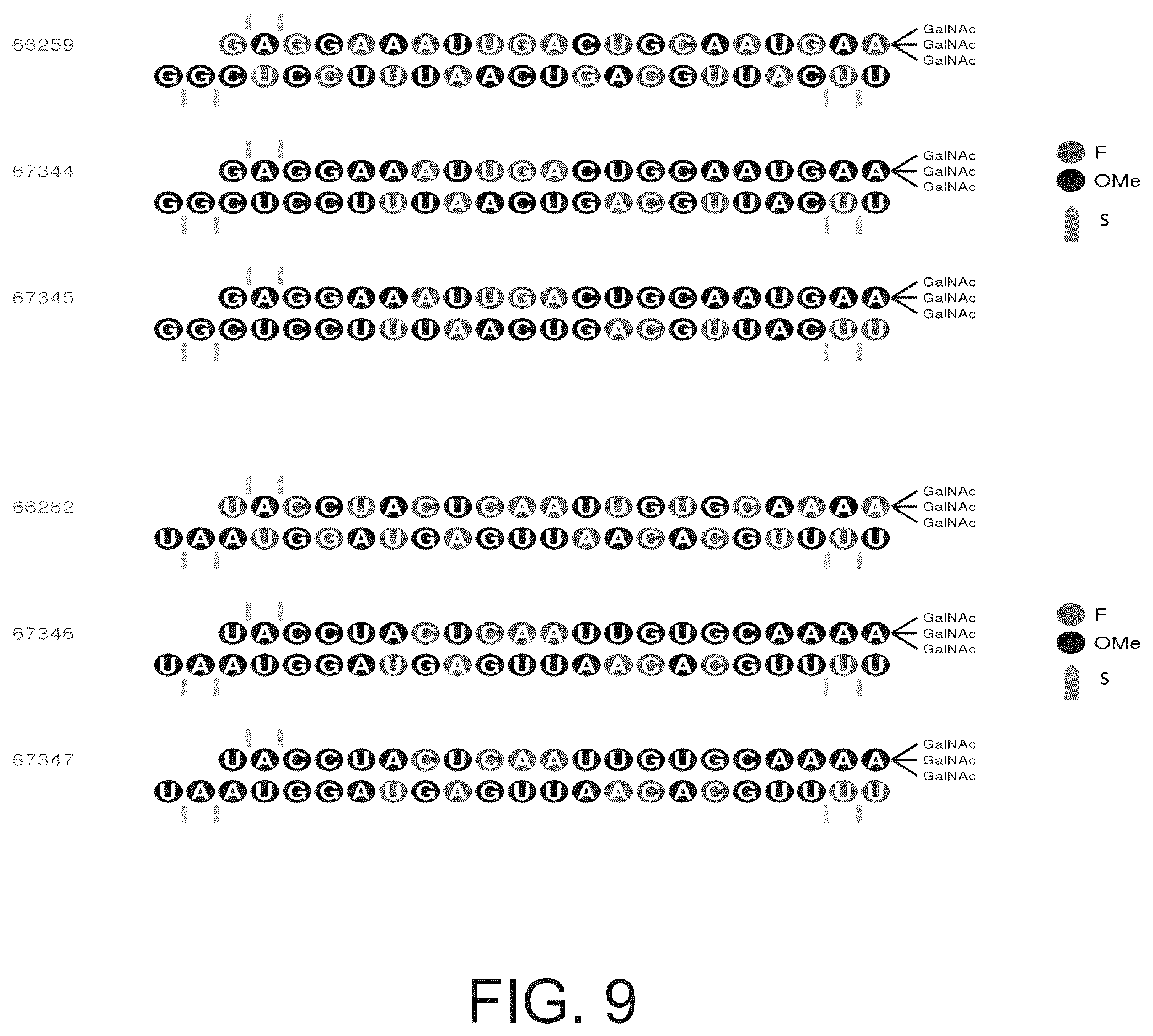 Patent US12338439 Figure 9 – Factor XII (hageman factor) (F12), kallikrein B, plasma (fletcher factor) 1 (KLKB1), and kininogen 1 (KNG1) iRNA compositions and methods of use thereof