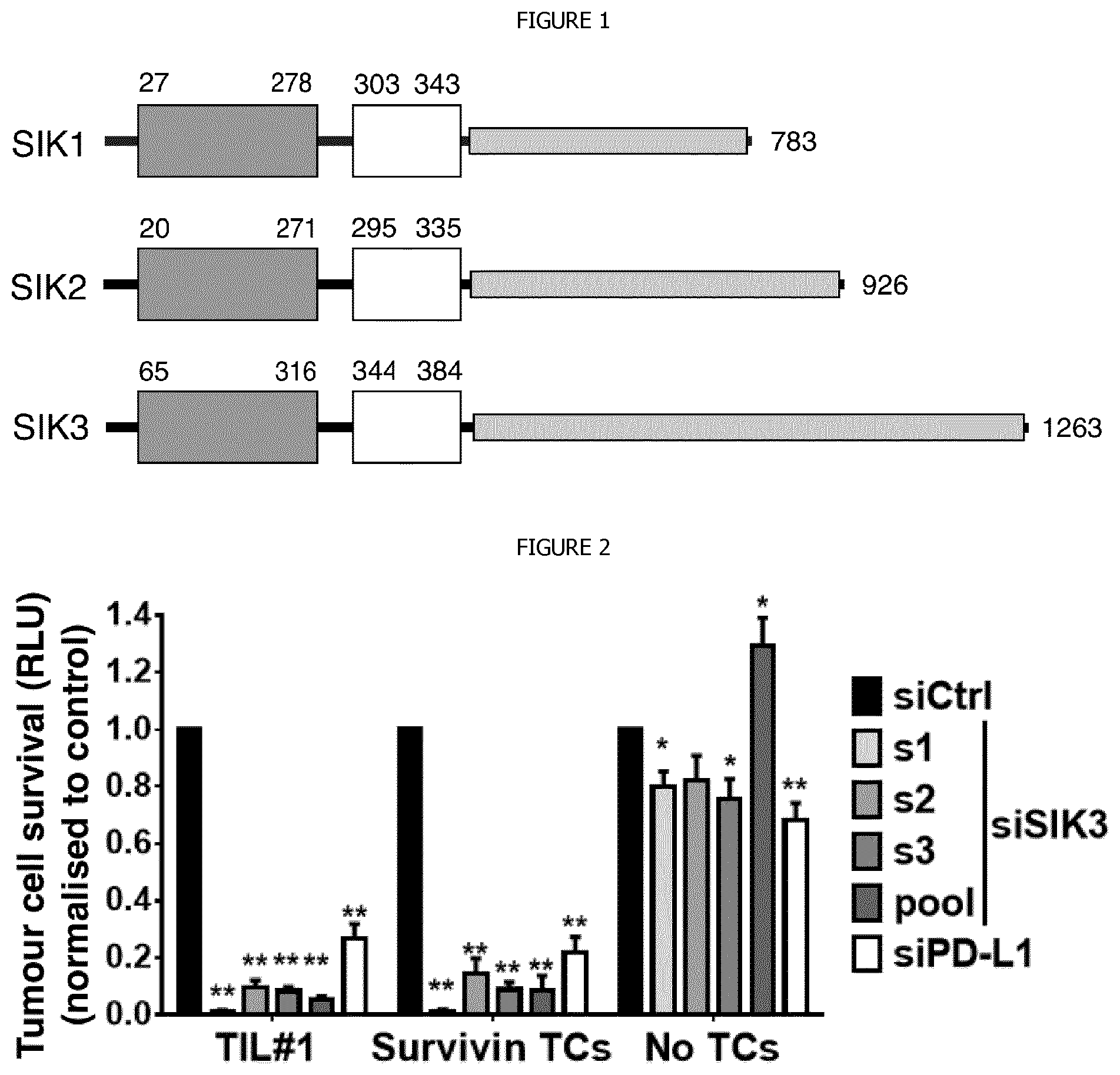 Patent US12338440 Figure 1 – Intracellular kinase associated with resistance against anti-tumour immune responses, and uses thereof