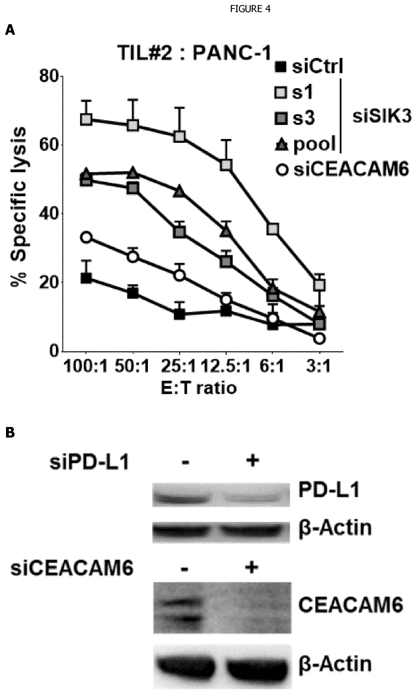 Patent US12338440 Figure 4 – Intracellular kinase associated with resistance against anti-tumour immune responses, and uses thereof