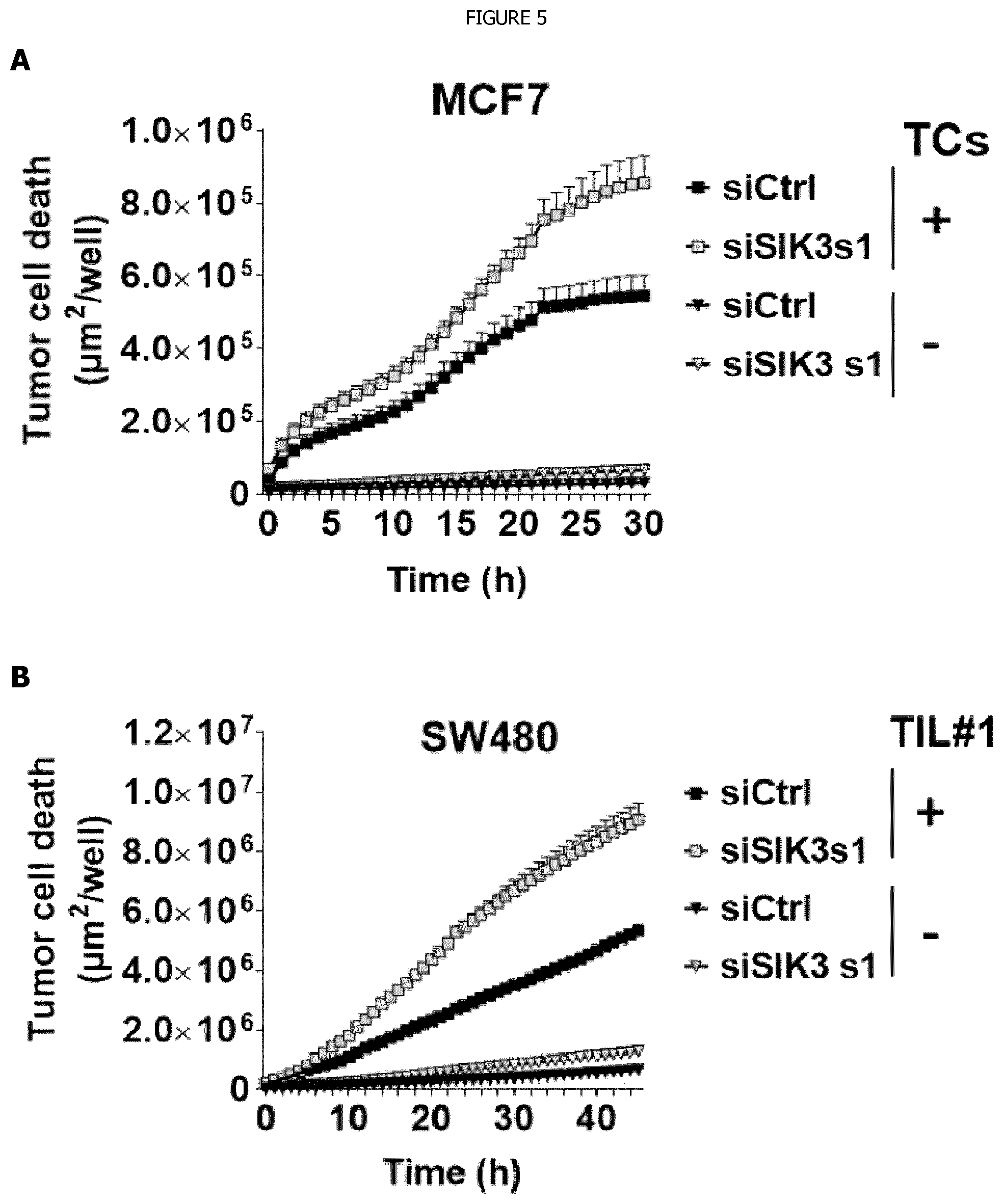 Patent US12338440 Figure 5 – Intracellular kinase associated with resistance against anti-tumour immune responses, and uses thereof