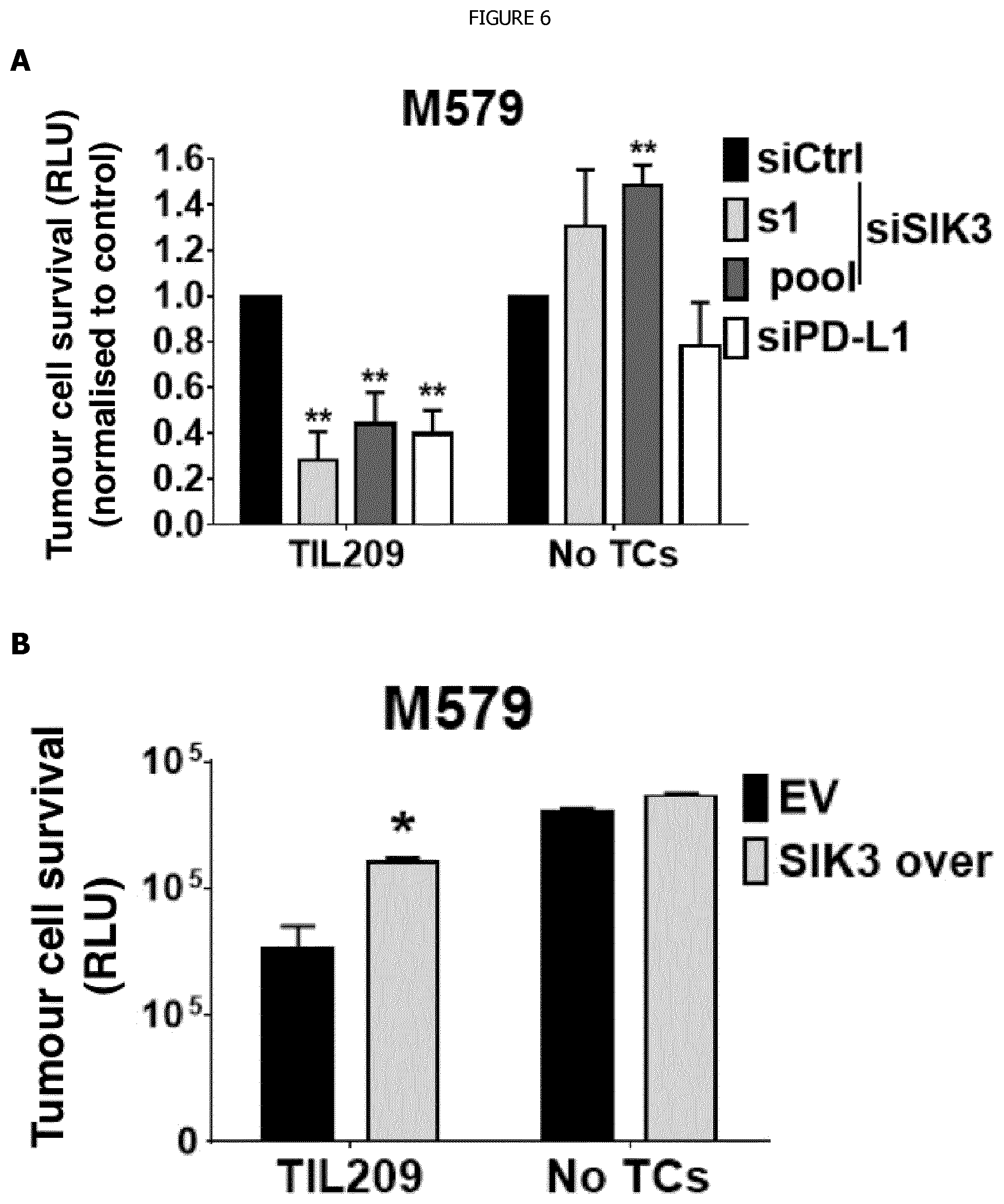 Patent US12338440 Figure 6 – Intracellular kinase associated with resistance against anti-tumour immune responses, and uses thereof