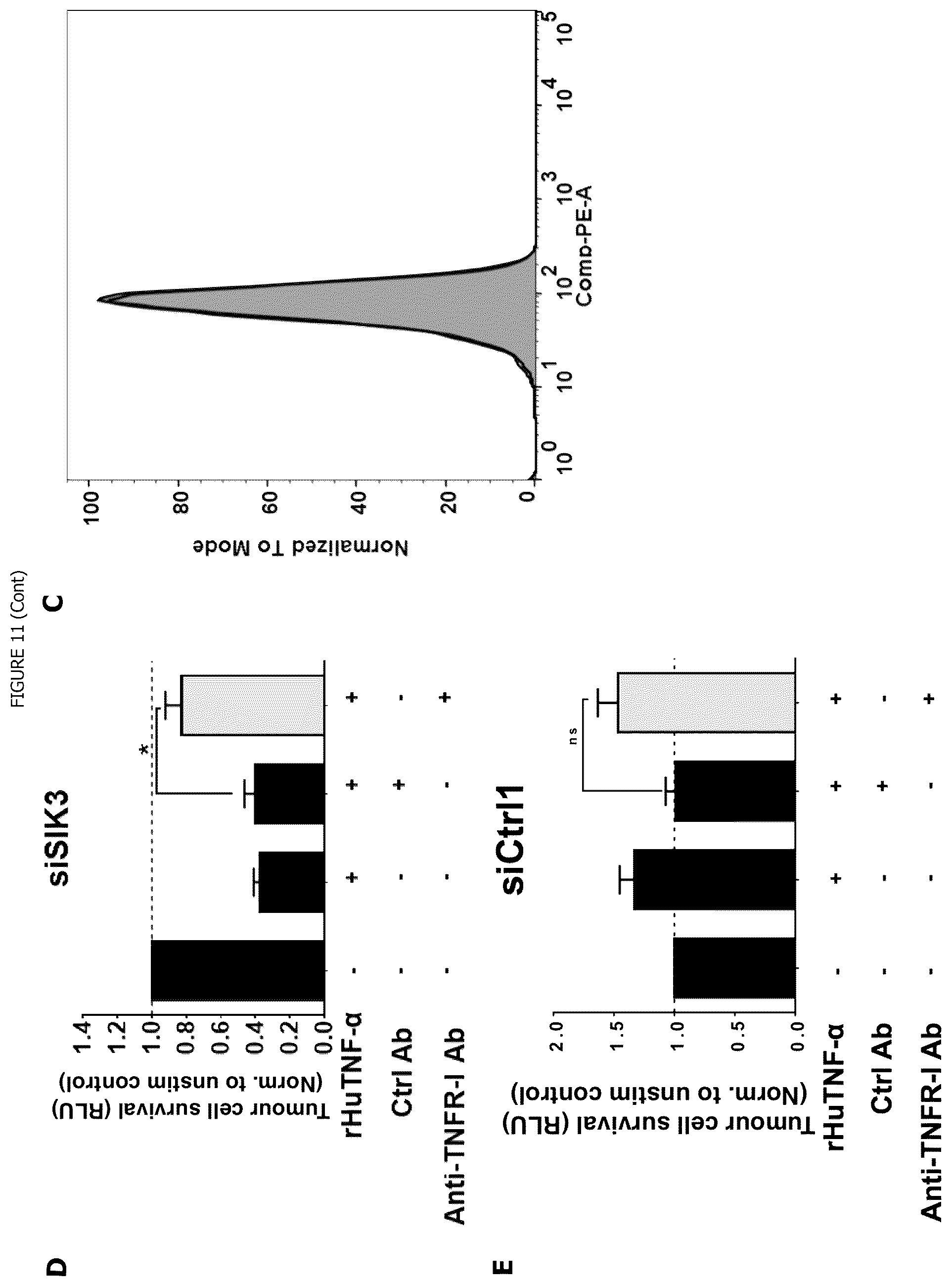 Patent US12338440 Figure 17 – Intracellular kinase associated with resistance against anti-tumour immune responses, and uses thereof