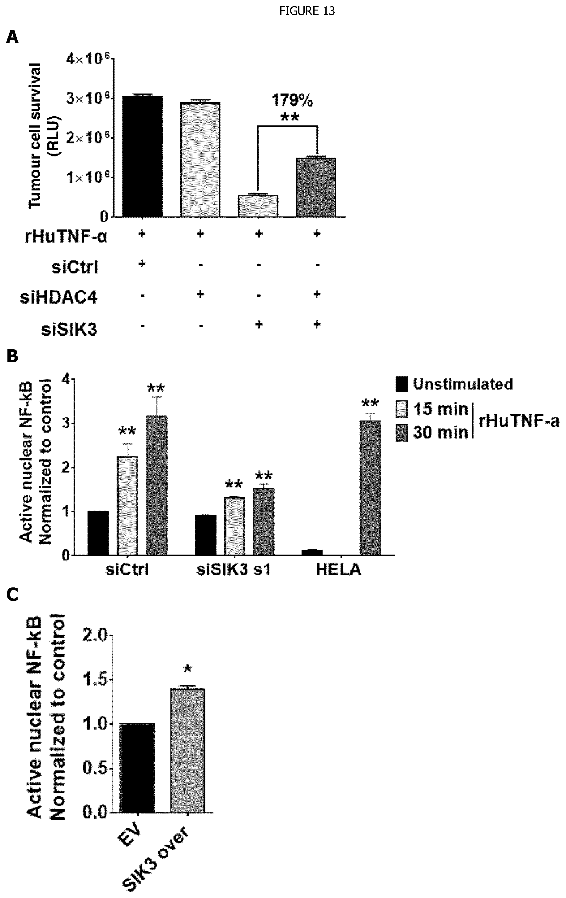 Patent US12338440 Figure 19 – Intracellular kinase associated with resistance against anti-tumour immune responses, and uses thereof