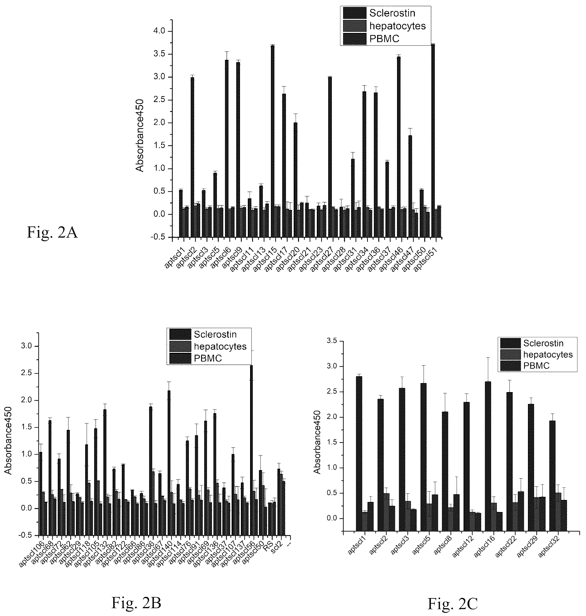 Patent US12338441 Figure 2 – Aptamer for sclerostin and use thereof