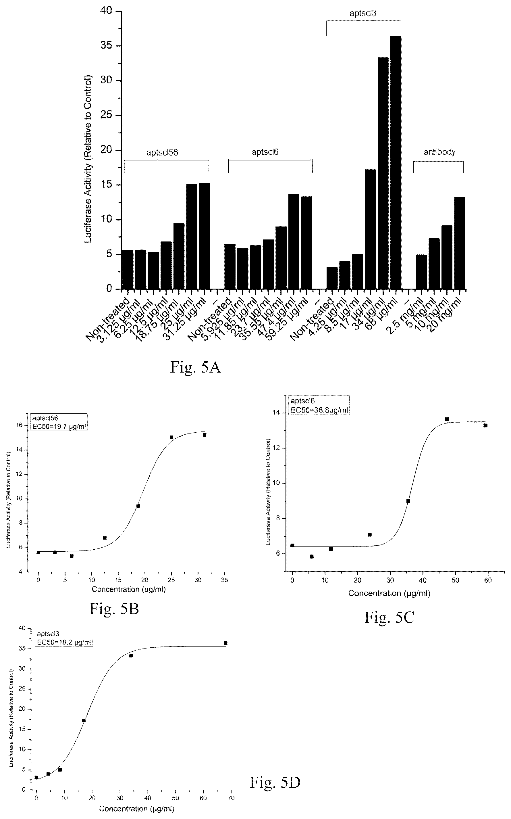 Patent US12338441 Figure 6 – Aptamer for sclerostin and use thereof