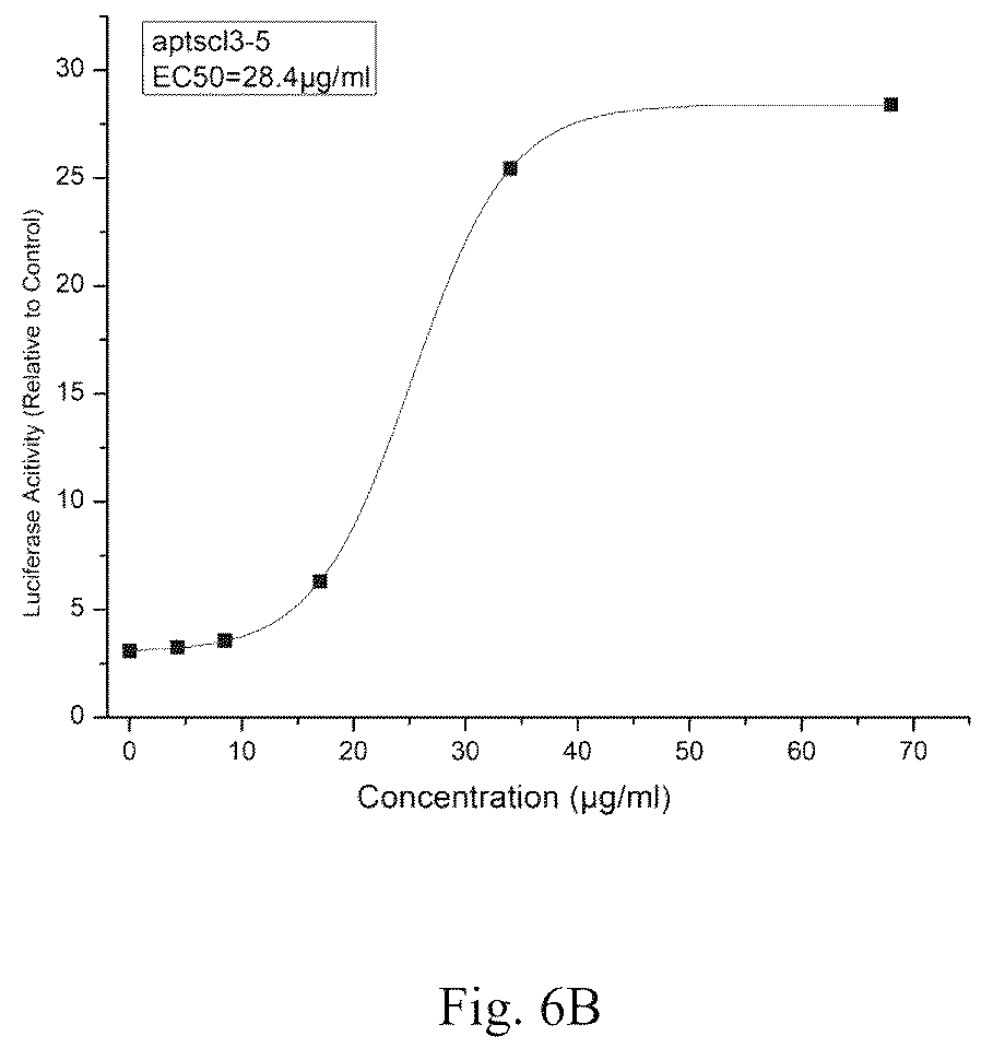 Patent US12338441 Figure 8 – Aptamer for sclerostin and use thereof