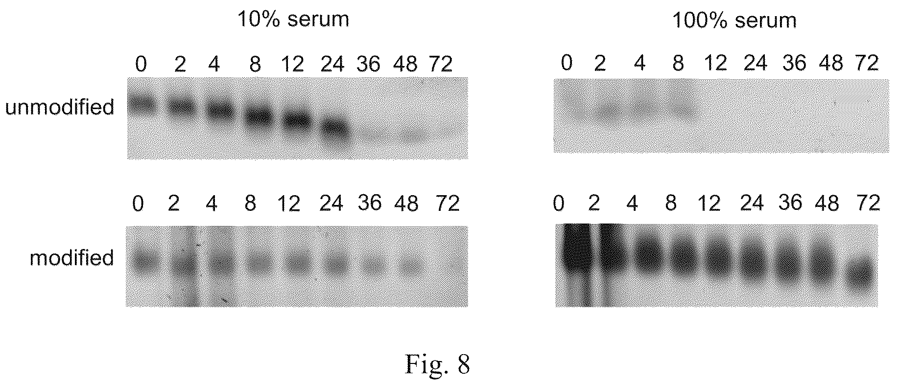 Patent US12338441 Figure 10 – Aptamer for sclerostin and use thereof
