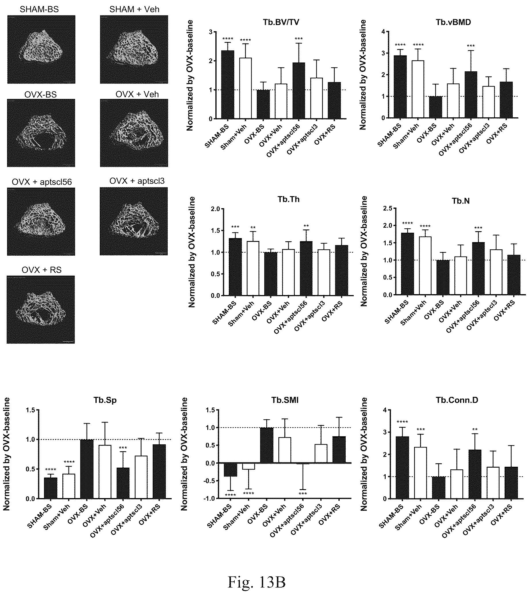 Patent US12338441 Figure 16 – Aptamer for sclerostin and use thereof