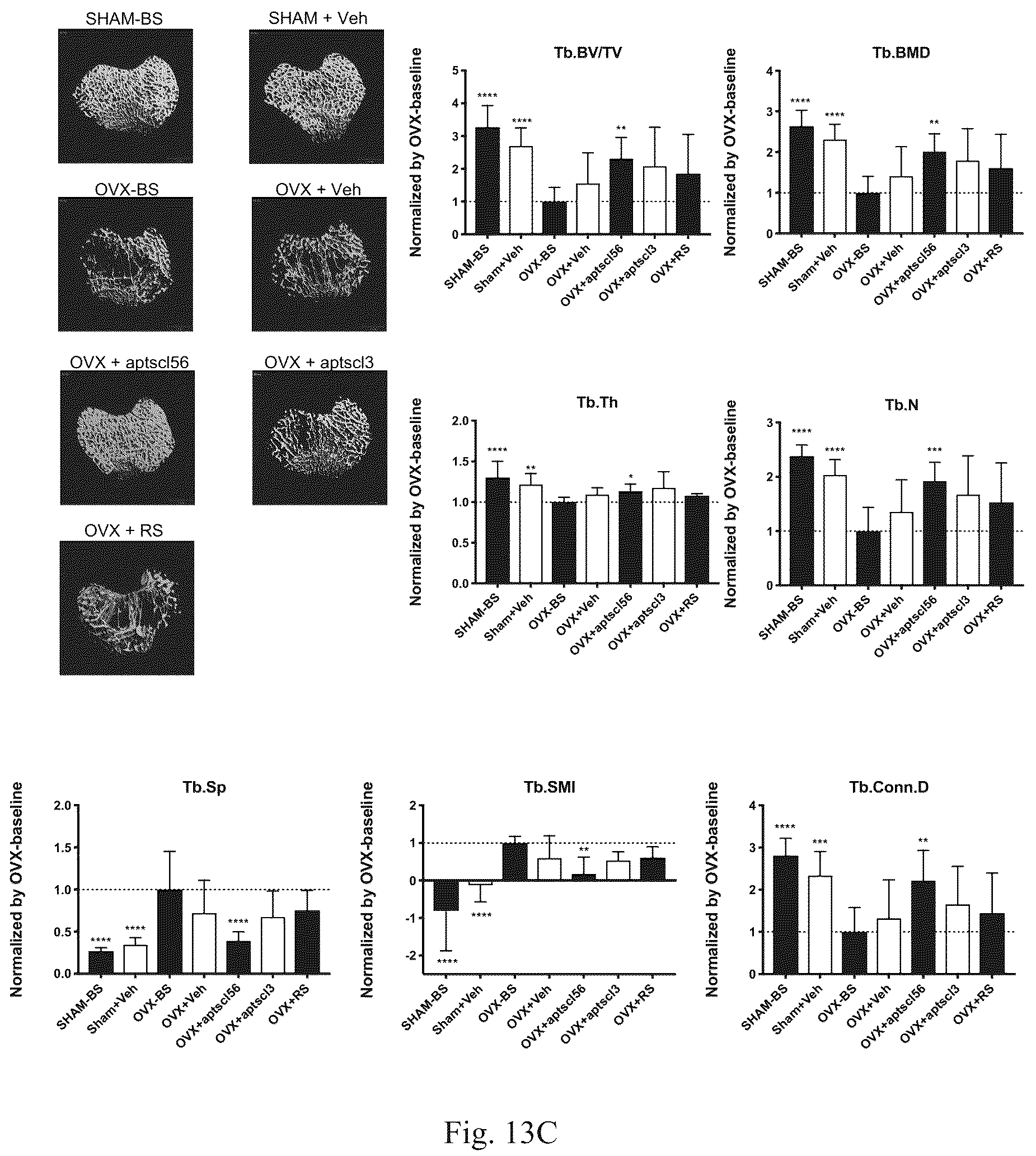 Patent US12338441 Figure 17 – Aptamer for sclerostin and use thereof