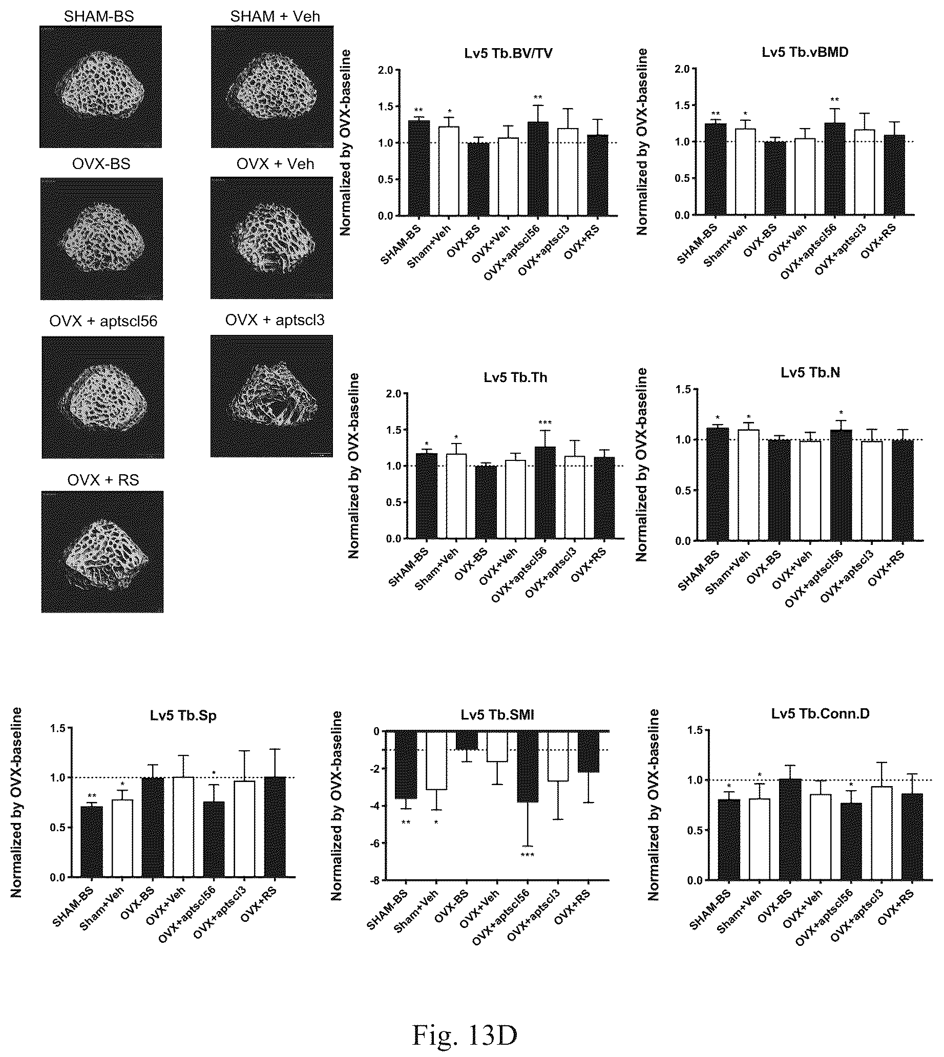 Patent US12338441 Figure 18 – Aptamer for sclerostin and use thereof