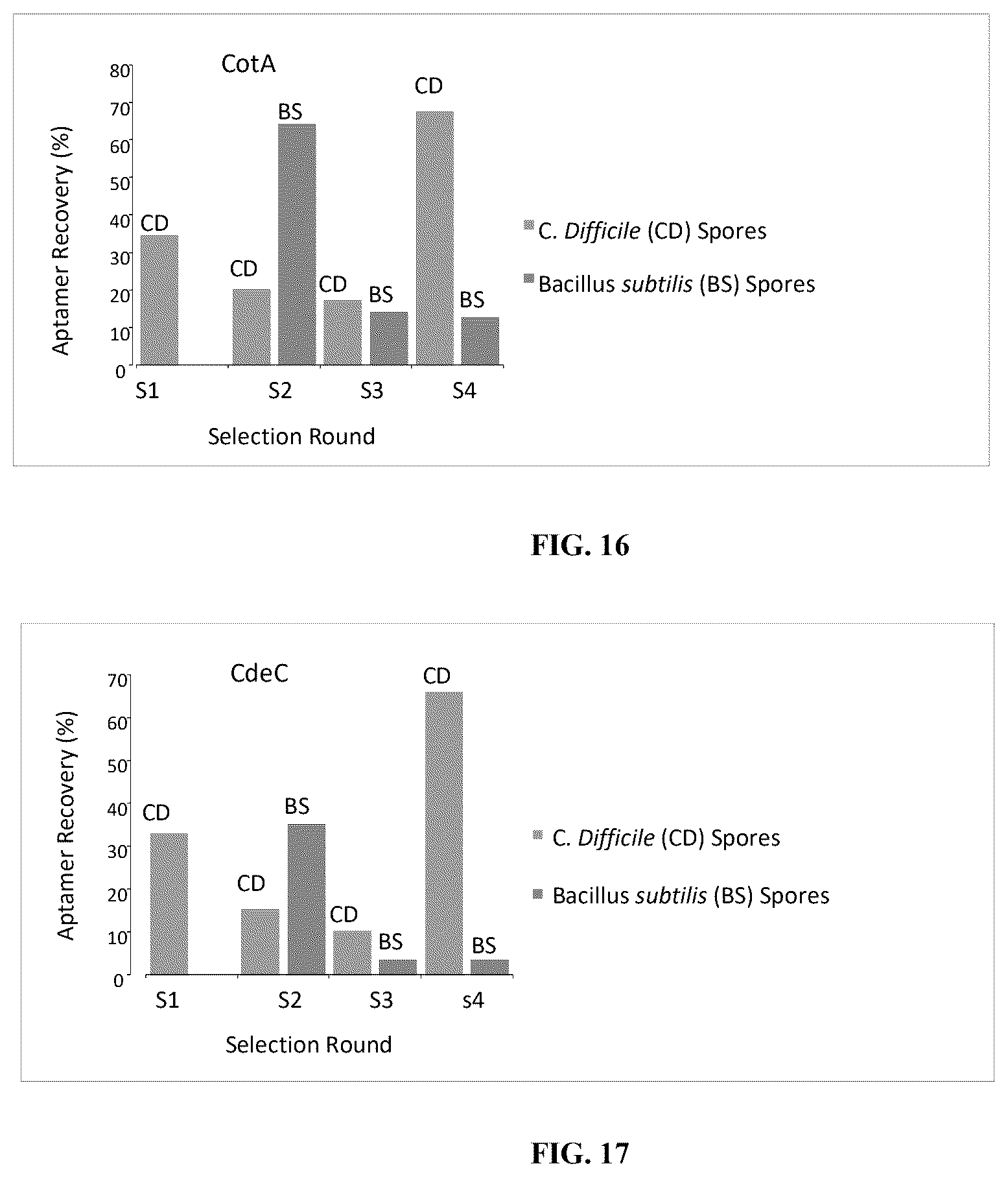 Patent US12338442 Figure 12 – Aptamers against clostridium difficile