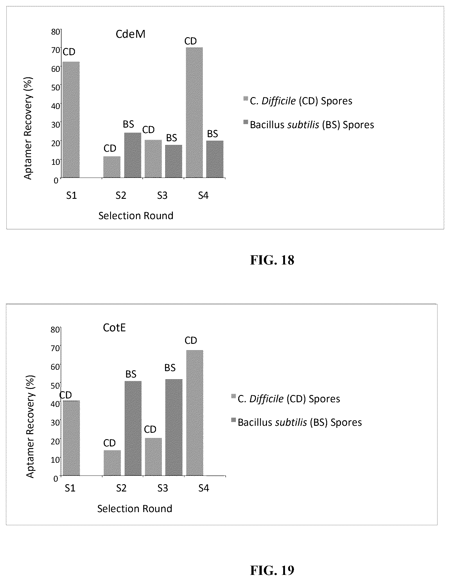 Patent US12338442 Figure 13 – Aptamers against clostridium difficile