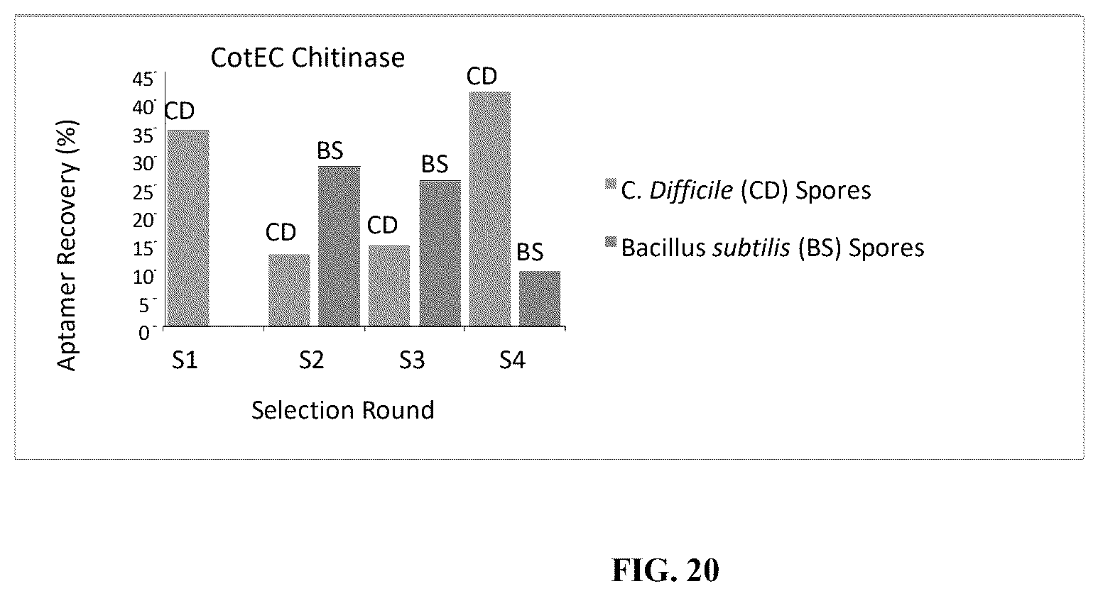 Patent US12338442 Figure 14 – Aptamers against clostridium difficile