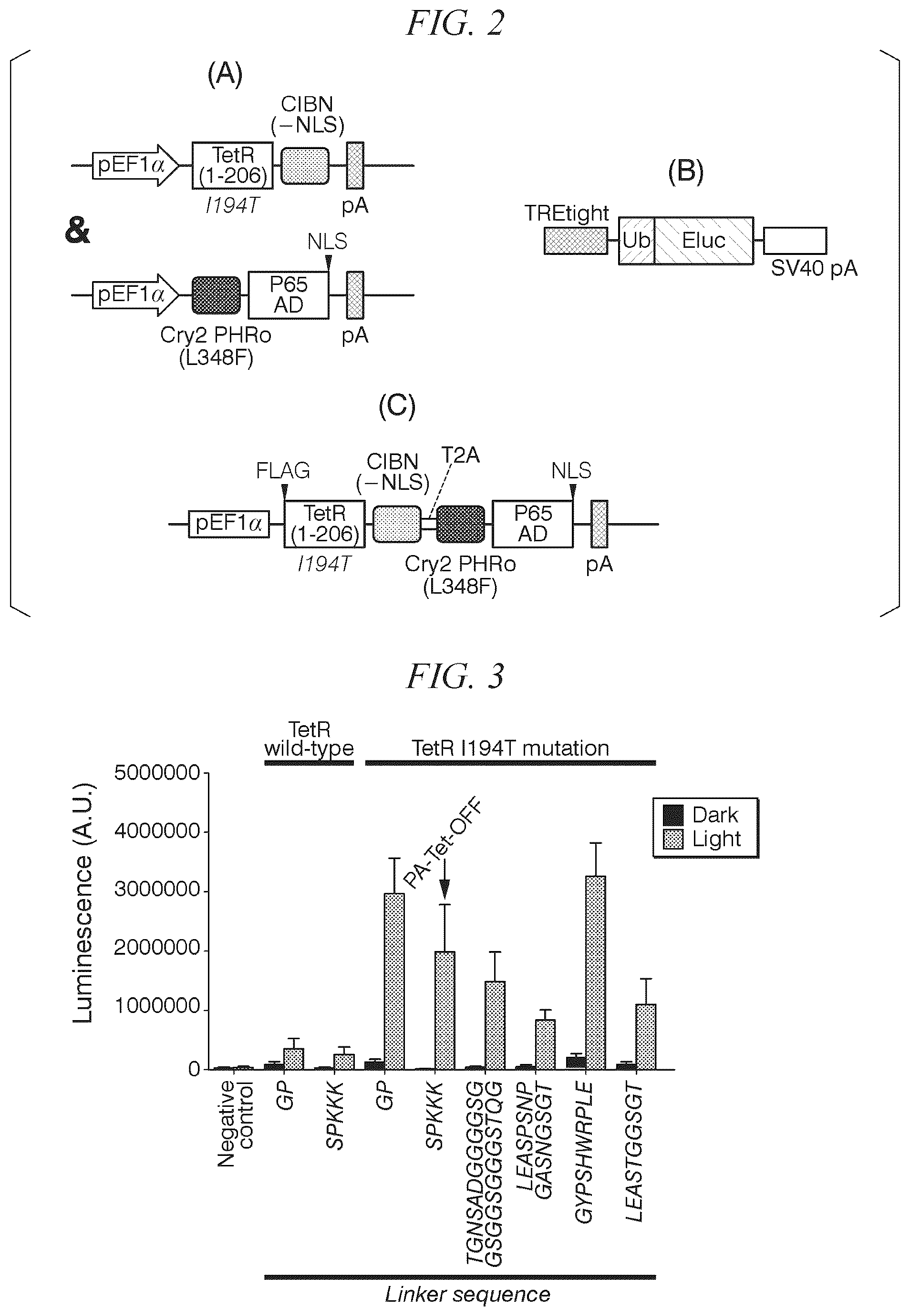 Patent US12338443 Figure 2 – Photoactivatable Tet expression control system