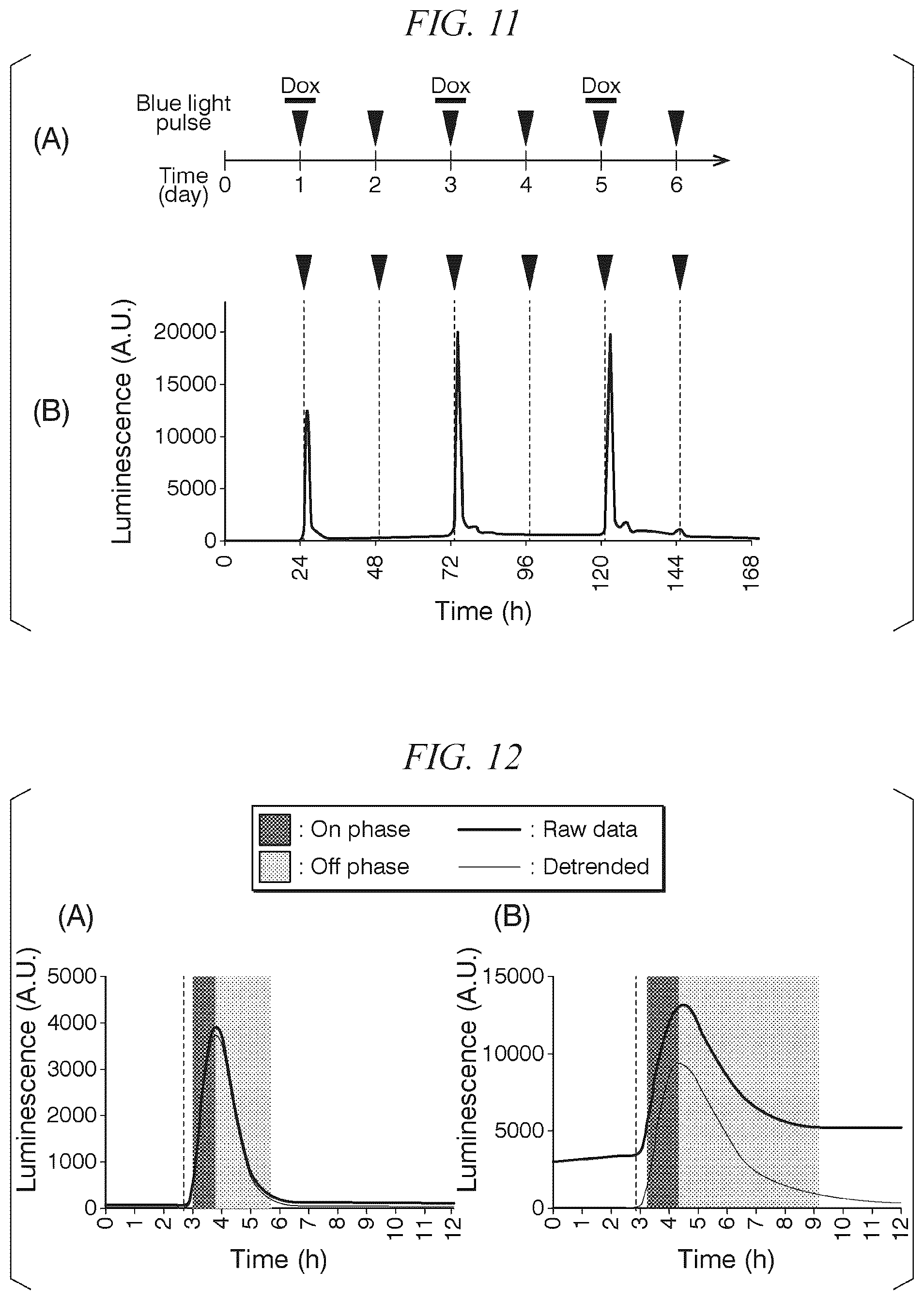 Patent US12338443 Figure 7 – Photoactivatable Tet expression control system
