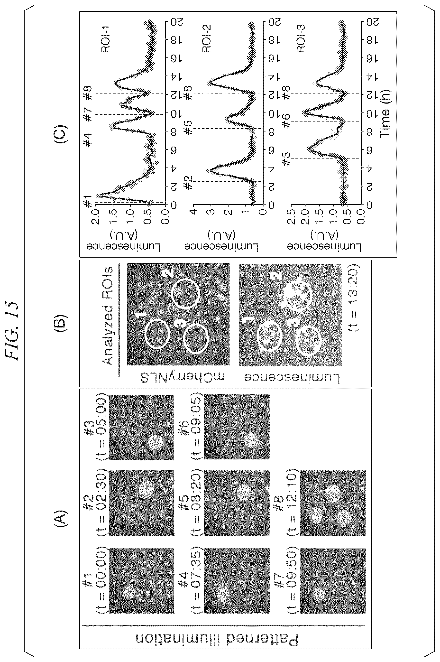 Patent US12338443 Figure 9 – Photoactivatable Tet expression control system